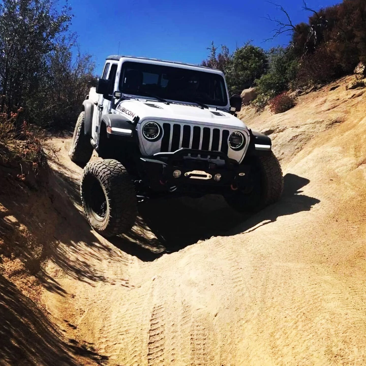 Jeep Gladiator What did you do WITH your Gladiator today? 62BCBC50-1C5A-447B-A580-623671A45B01