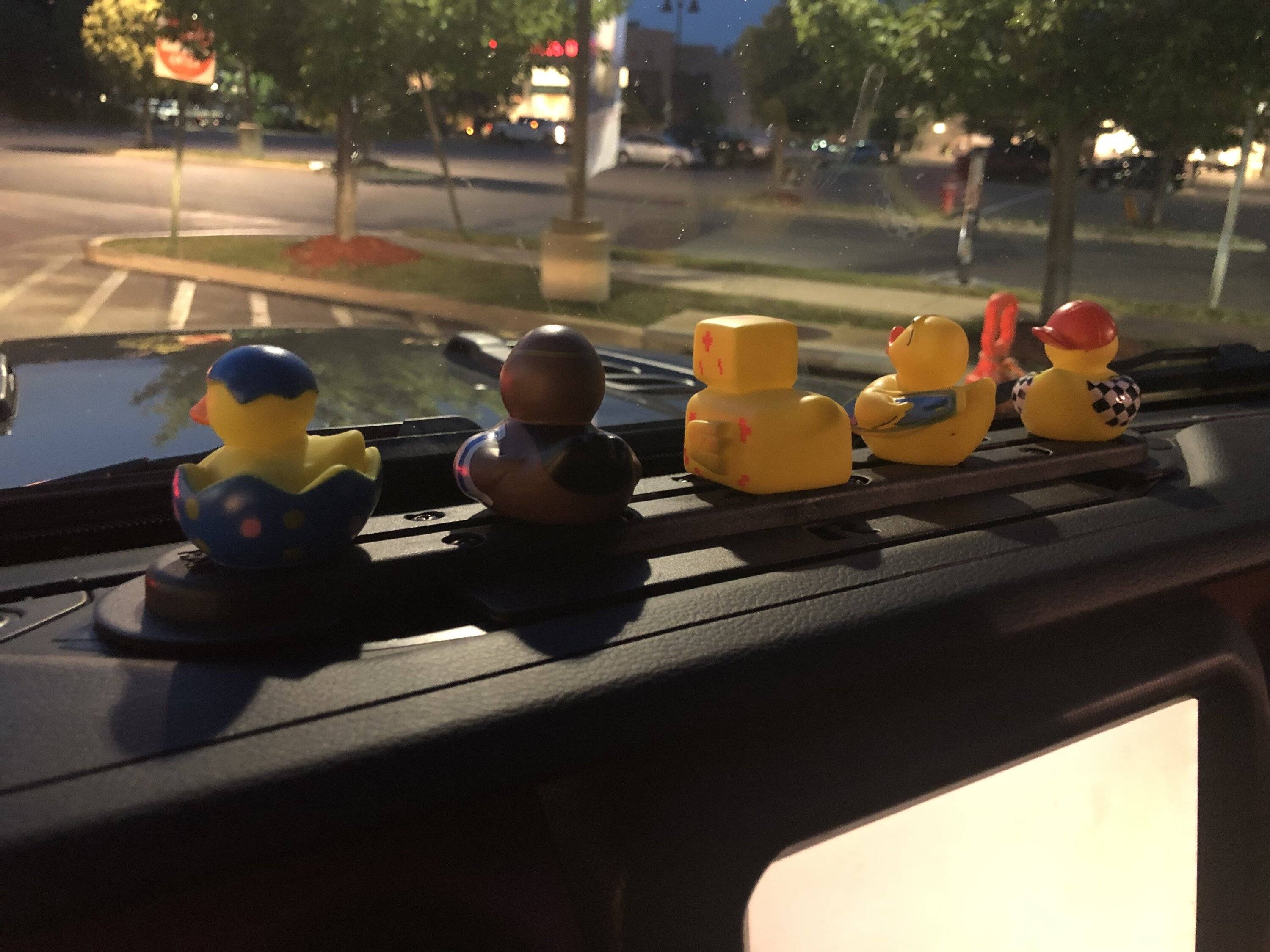 Jeep Gladiator Show me your DUCKS ! A20D81CA-723D-45A0-851C-9D27F7532905