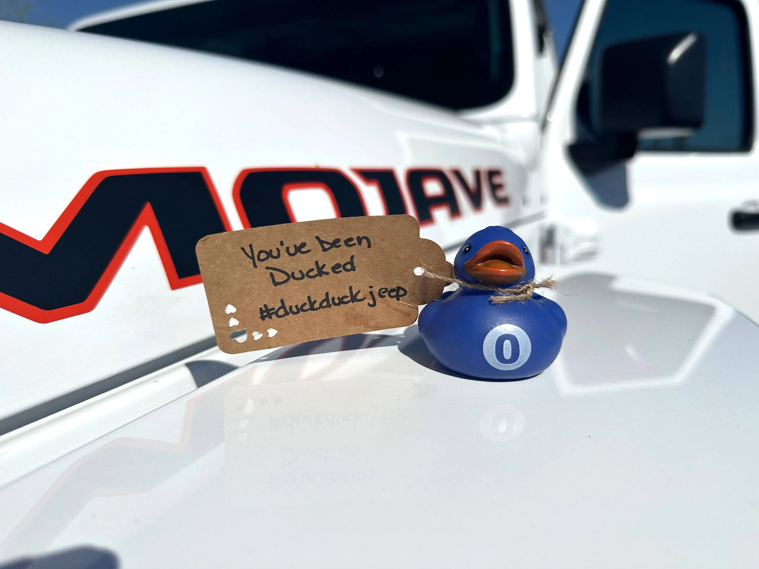 Jeep Gladiator Show me your DUCKS ! beenducked01