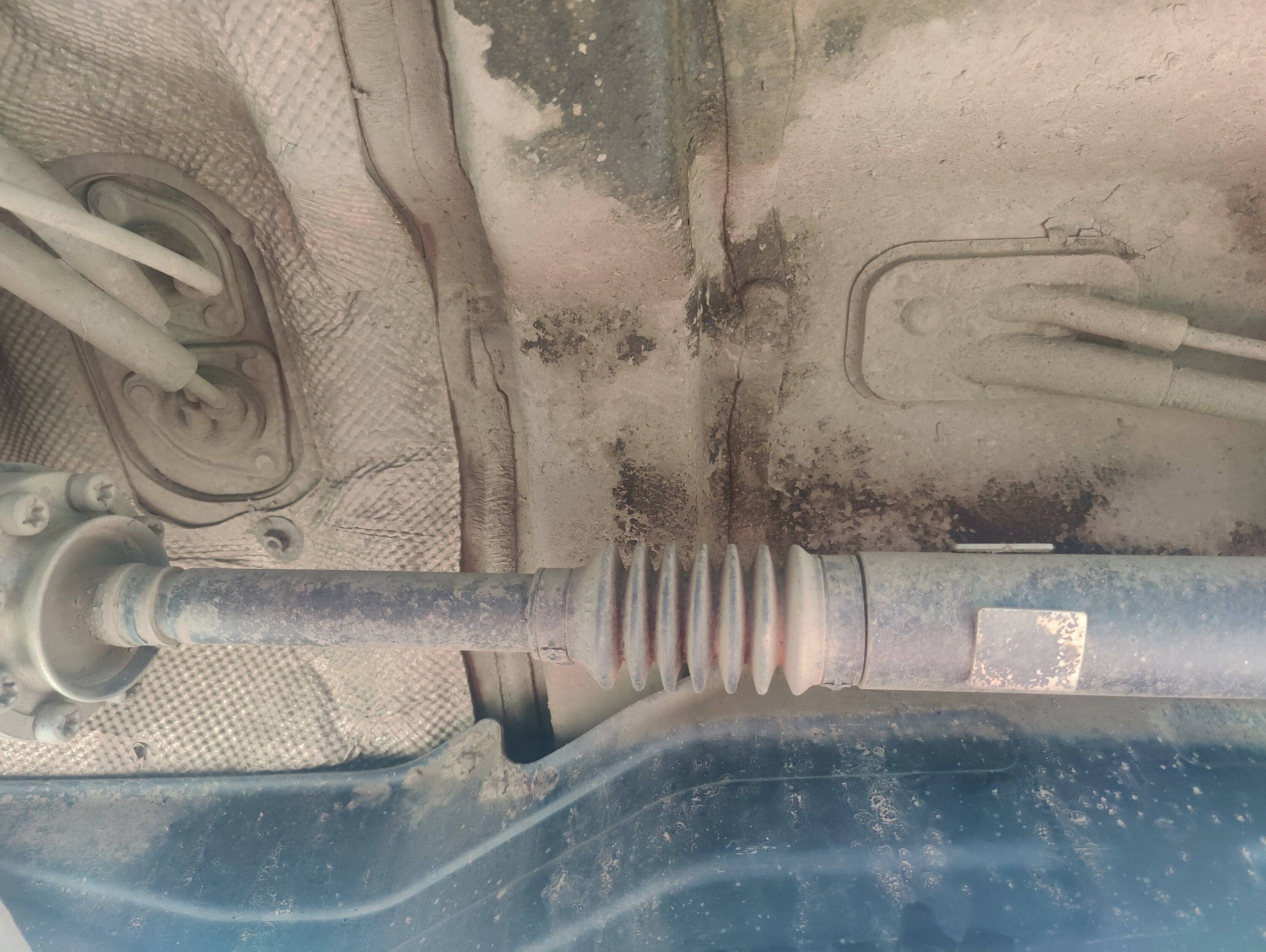 Jeep Gladiator Diesel tank in a Gas IMG20230609084141