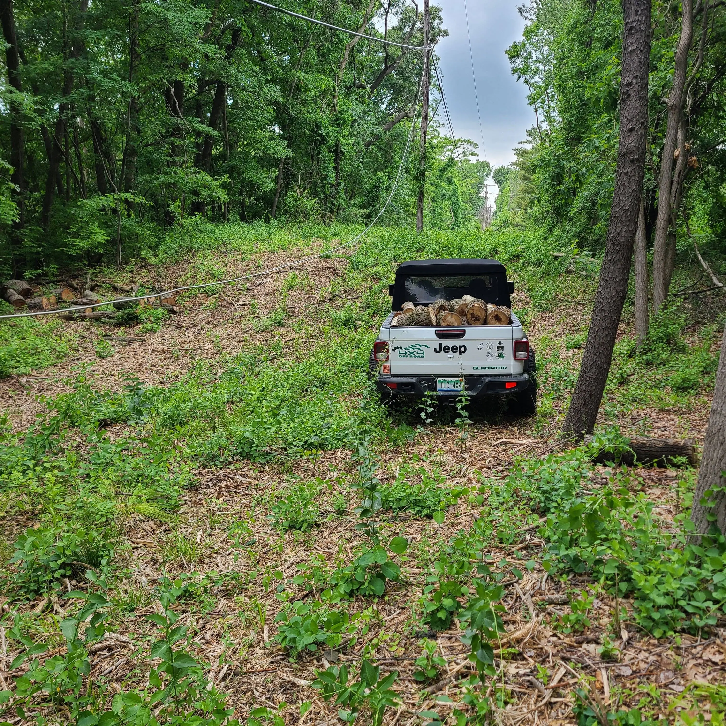 Jeep Gladiator What did you do WITH your Gladiator today? 20230612_162957