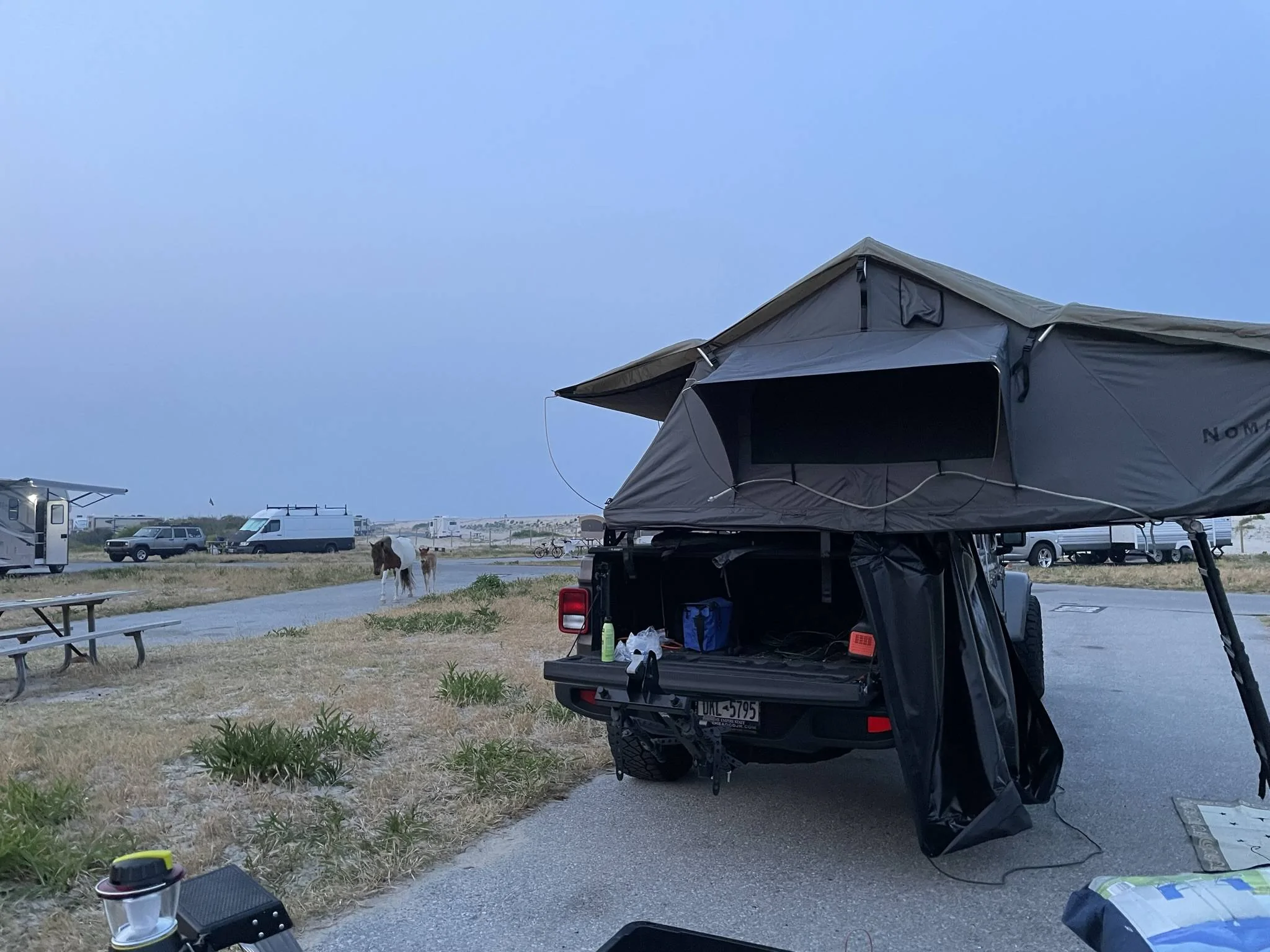 Jeep Gladiator Gladiator Camping w/ Wild Horses of Assateague State Park IMG_3515