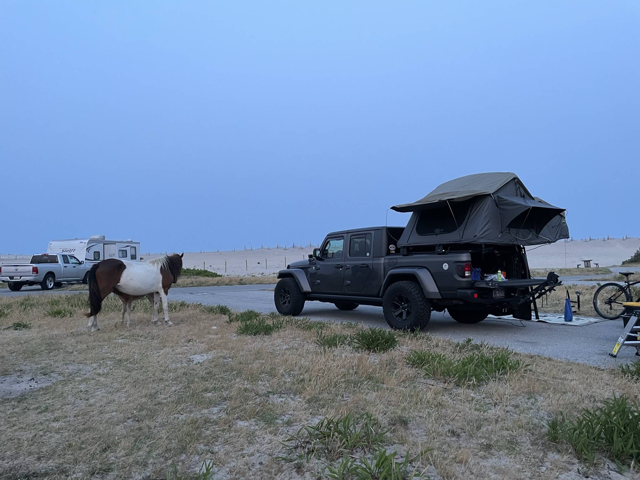 Jeep Gladiator Gladiator Camping w/ Wild Horses of Assateague State Park IMG_3516.JPEG