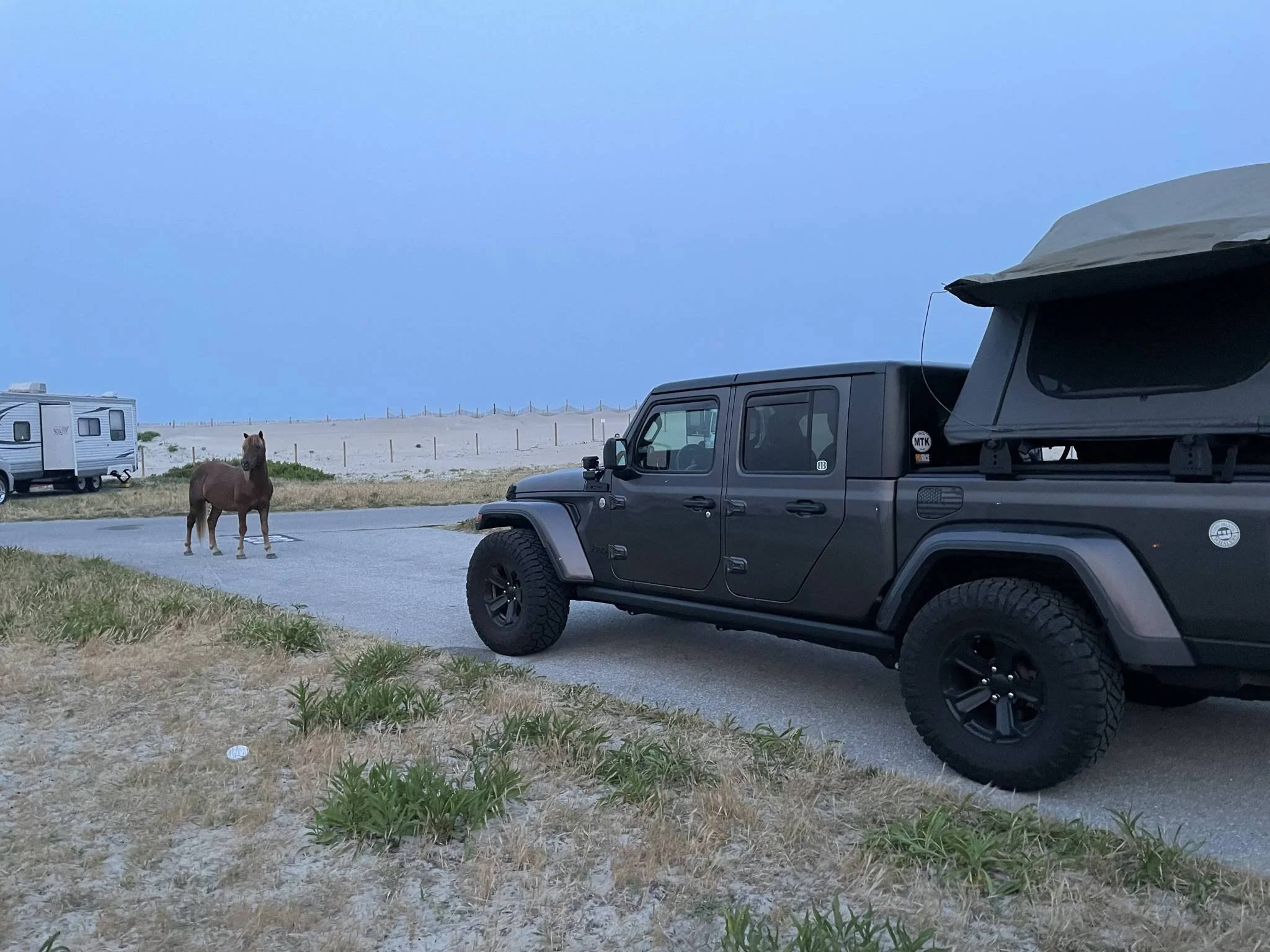 Jeep Gladiator Gladiator Camping w/ Wild Horses of Assateague State Park IMG_3520