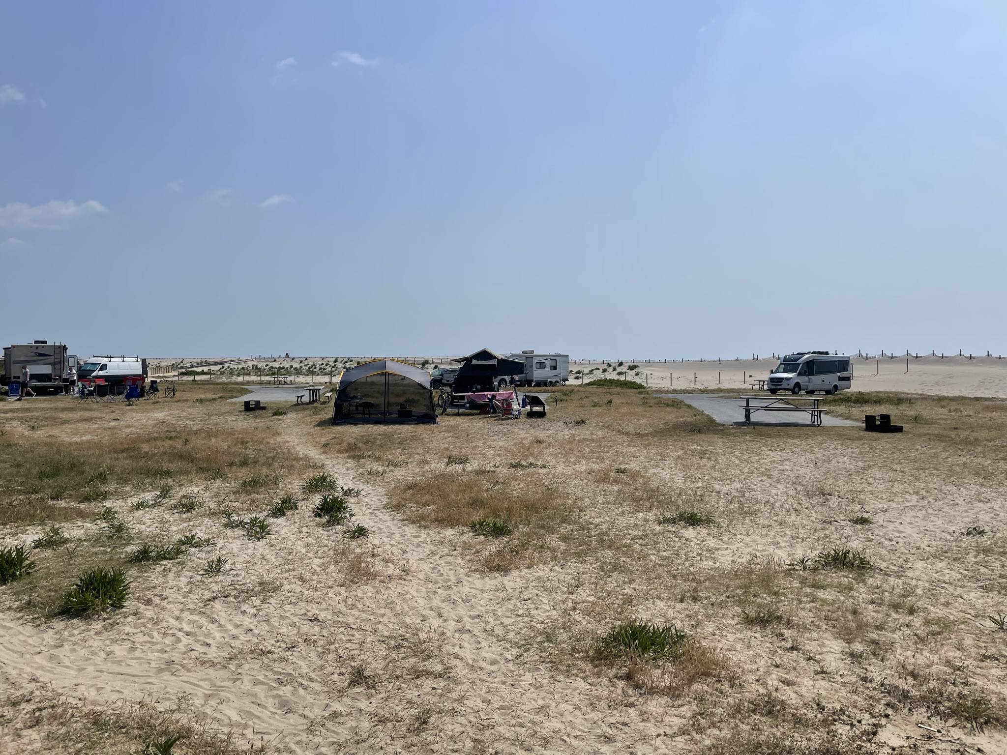 Jeep Gladiator Gladiator Camping w/ Wild Horses of Assateague State Park IMG_3522.JPEG