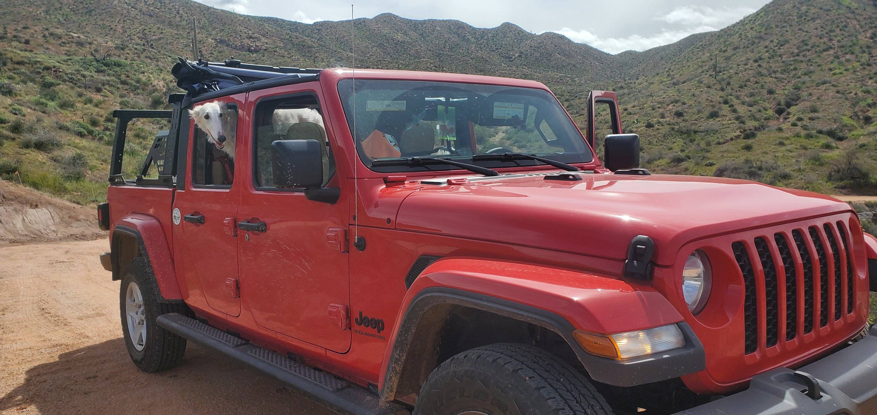 Jeep Gladiator Let’s see your pets cause they are the best companion you can have!!!!! 20230311_121713