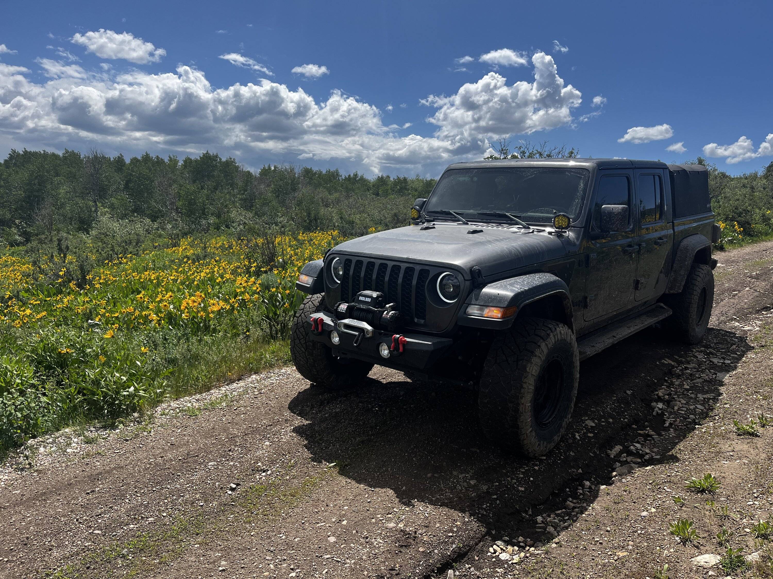 Jeep Gladiator What did you do TO your Gladiator today? [ADMIN WARNING: NO POLITICS, NO GUN TALK] 7B6EB639-3E1E-4D17-AF4E-005C6EF08072