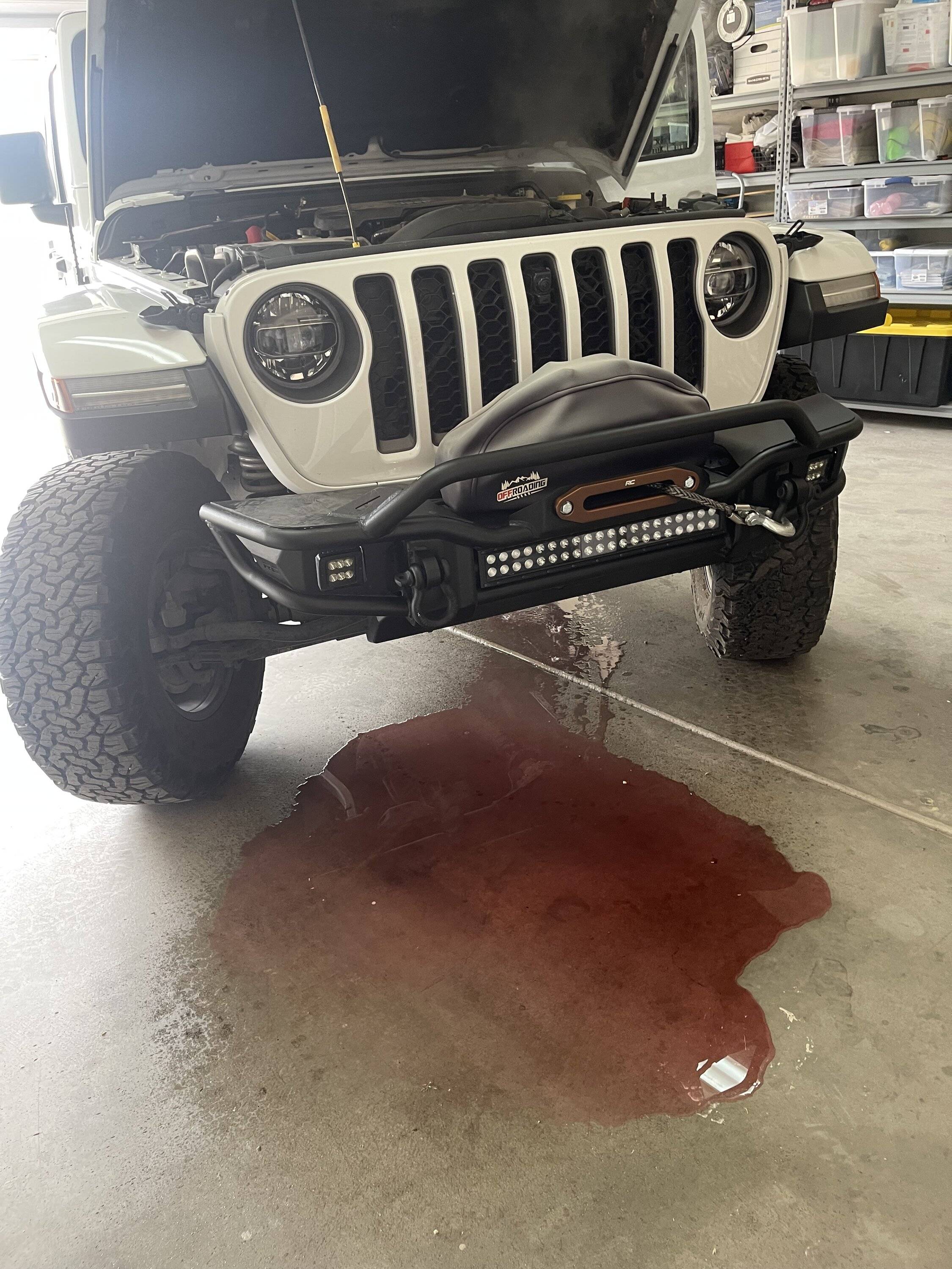 Jeep Gladiator Car freaking out need help ASAP **TRUCK is Freaking out*** IMG_6199