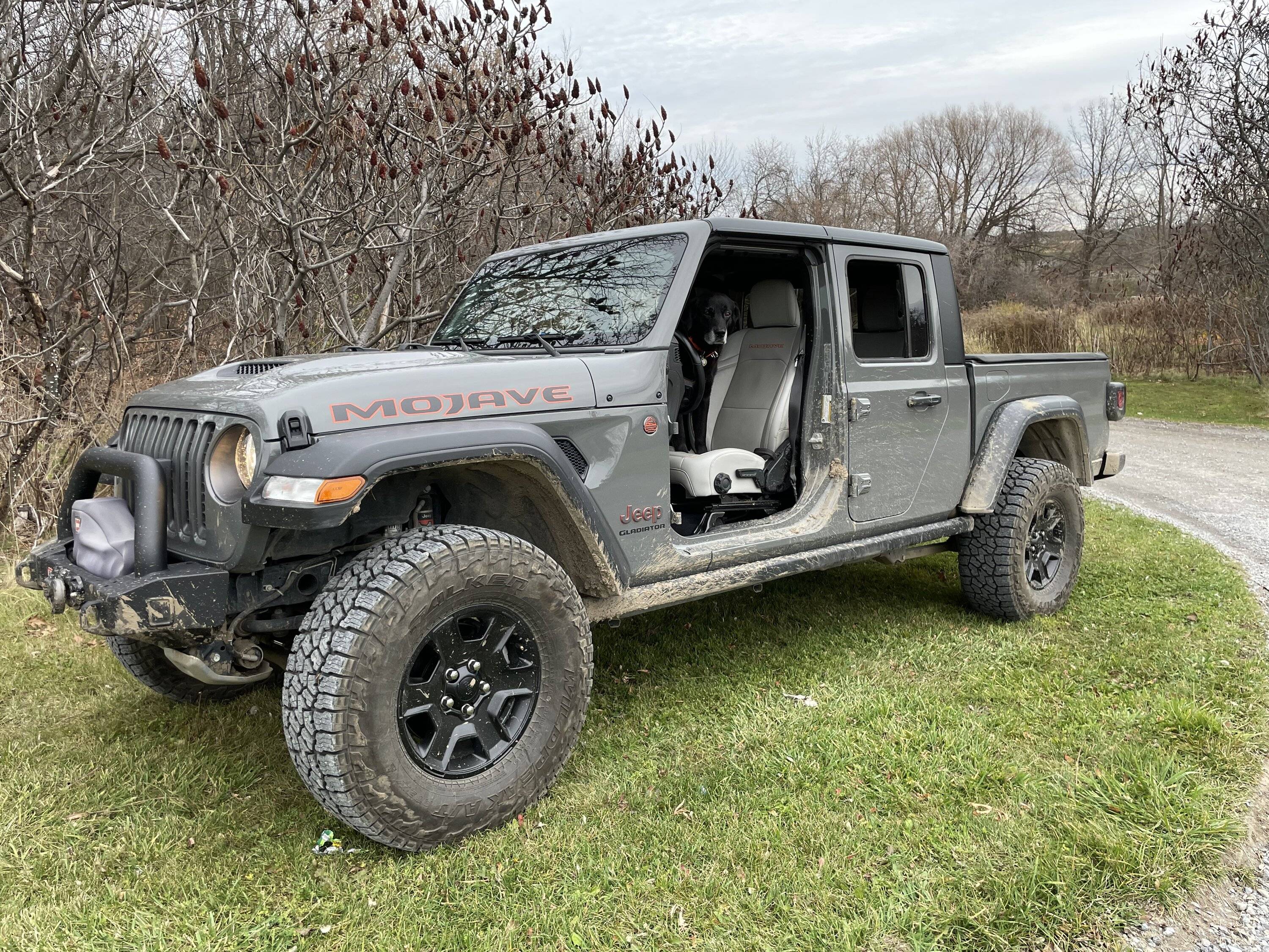 Jeep Gladiator Stock Mojave on 35s? Or regear necessary? F48B169D-335D-4657-BDF0-8D5718C4B61C