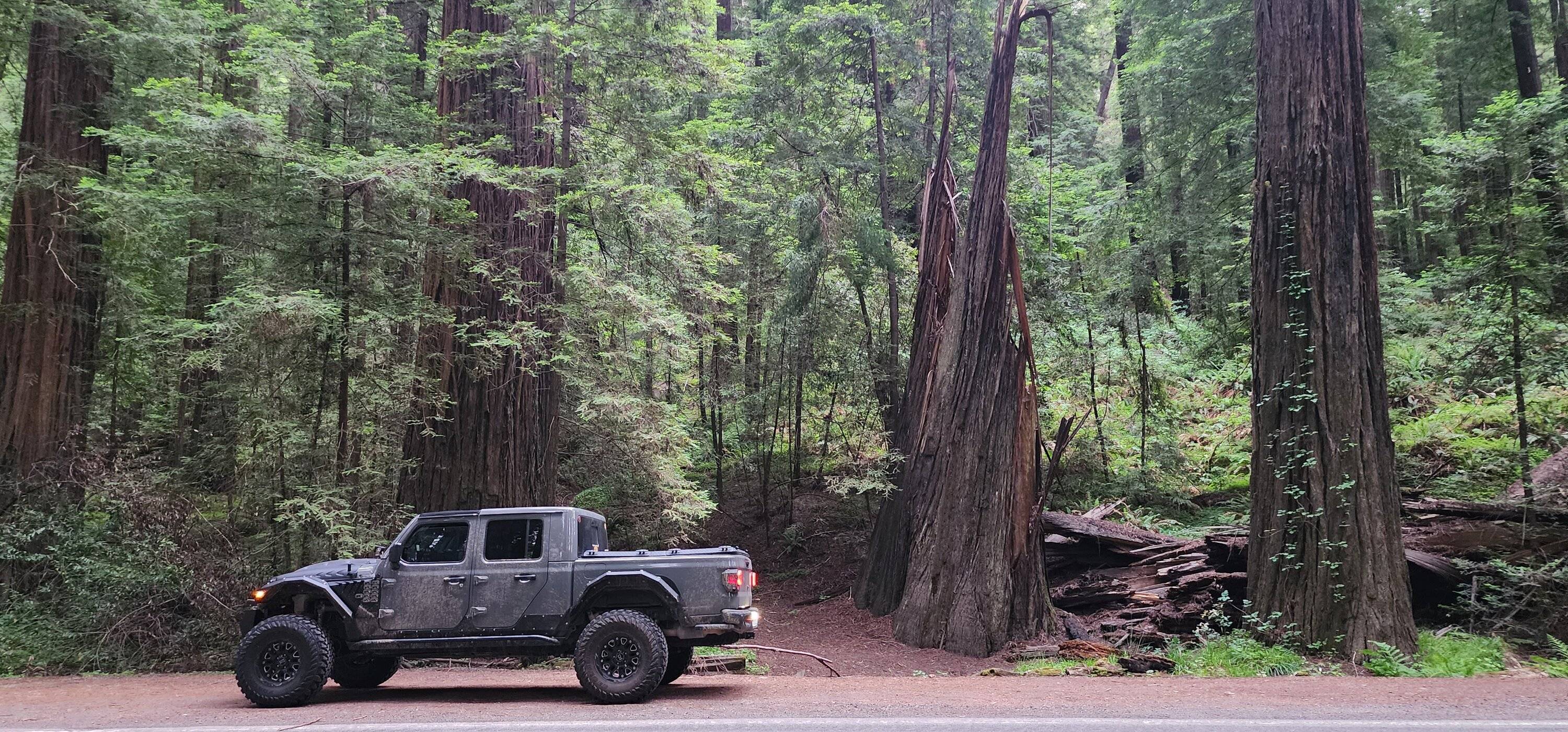 Jeep Gladiator 4 Badge of Honor trails in 4,300 miles! 20230606_174832