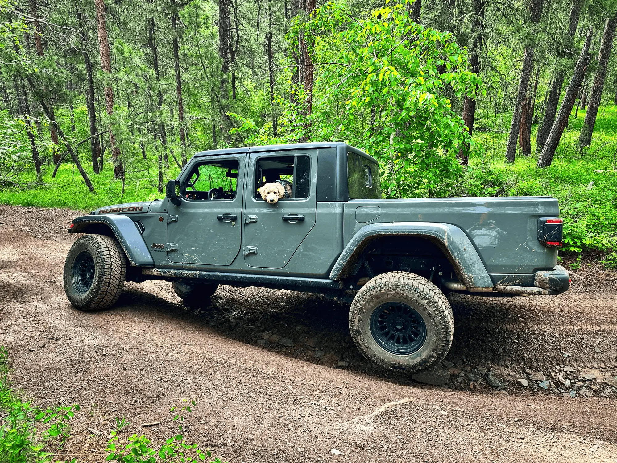 Jeep Gladiator Roaming Out West (Photos) IMG_6875