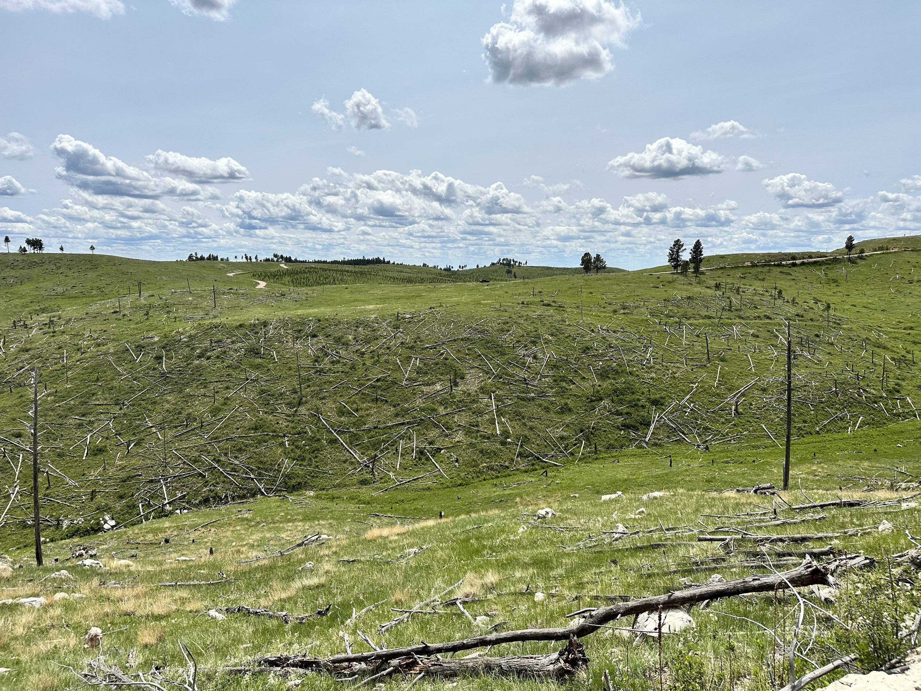 Jeep Gladiator Roaming Out West (Photos) IMG_6793