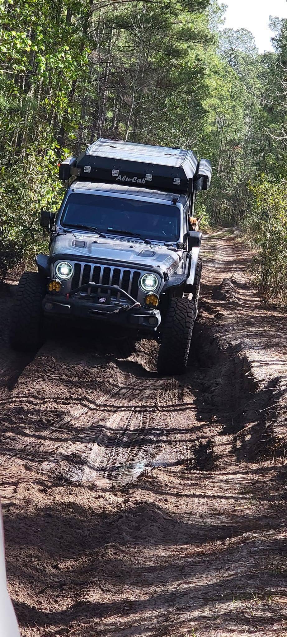 Jeep Gladiator Mopar 2" Lift Kit - Free Length & Spring Rate IMG_0795