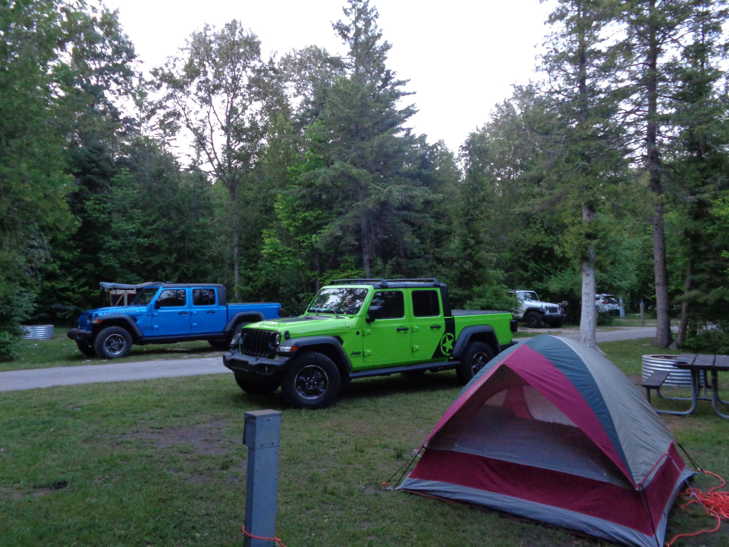 Jeep Gladiator GECKO GREEN Gladiator Club DSC03048.JPG