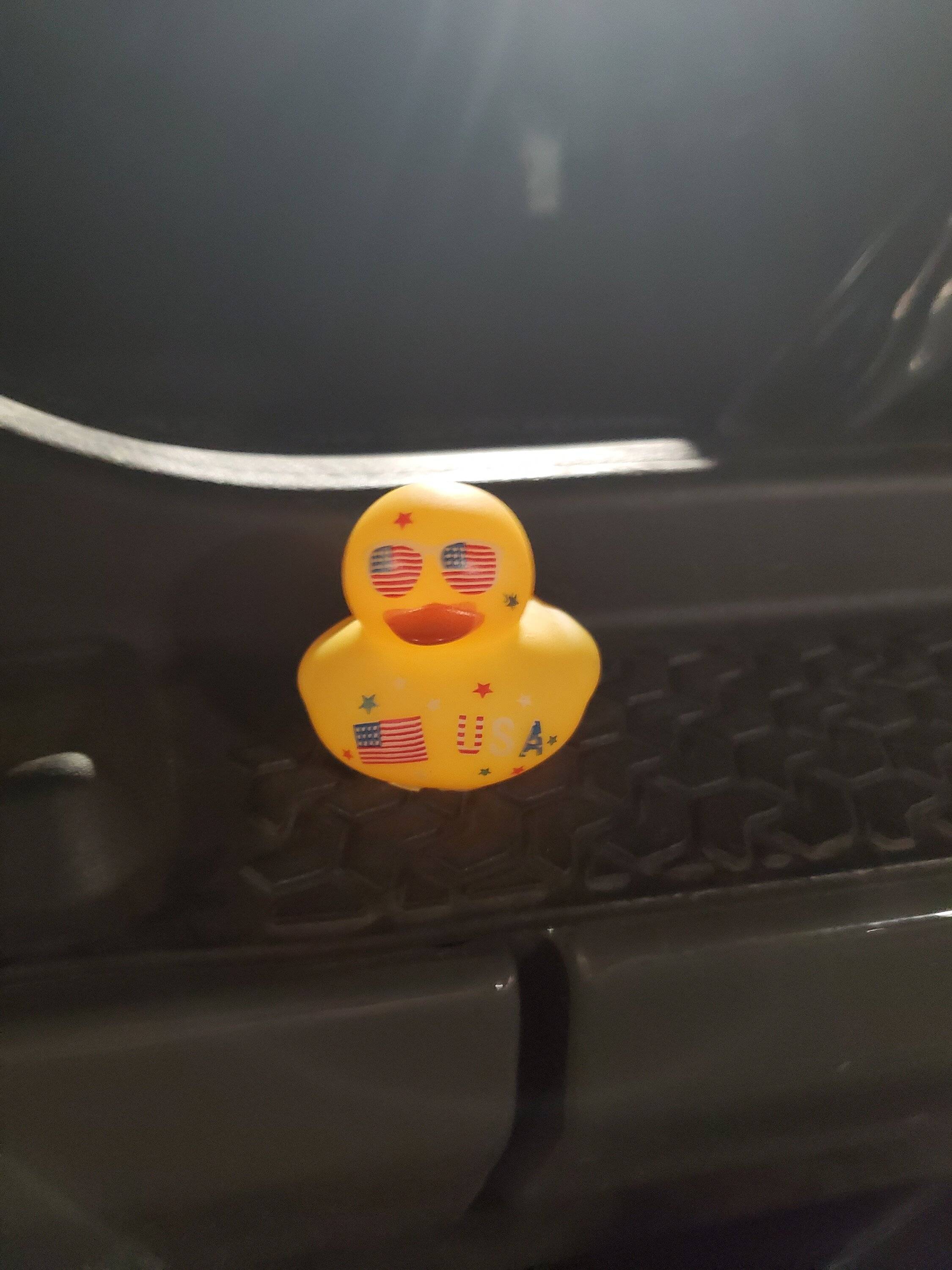 Jeep Gladiator Show me your DUCKS ! 20230720_223054
