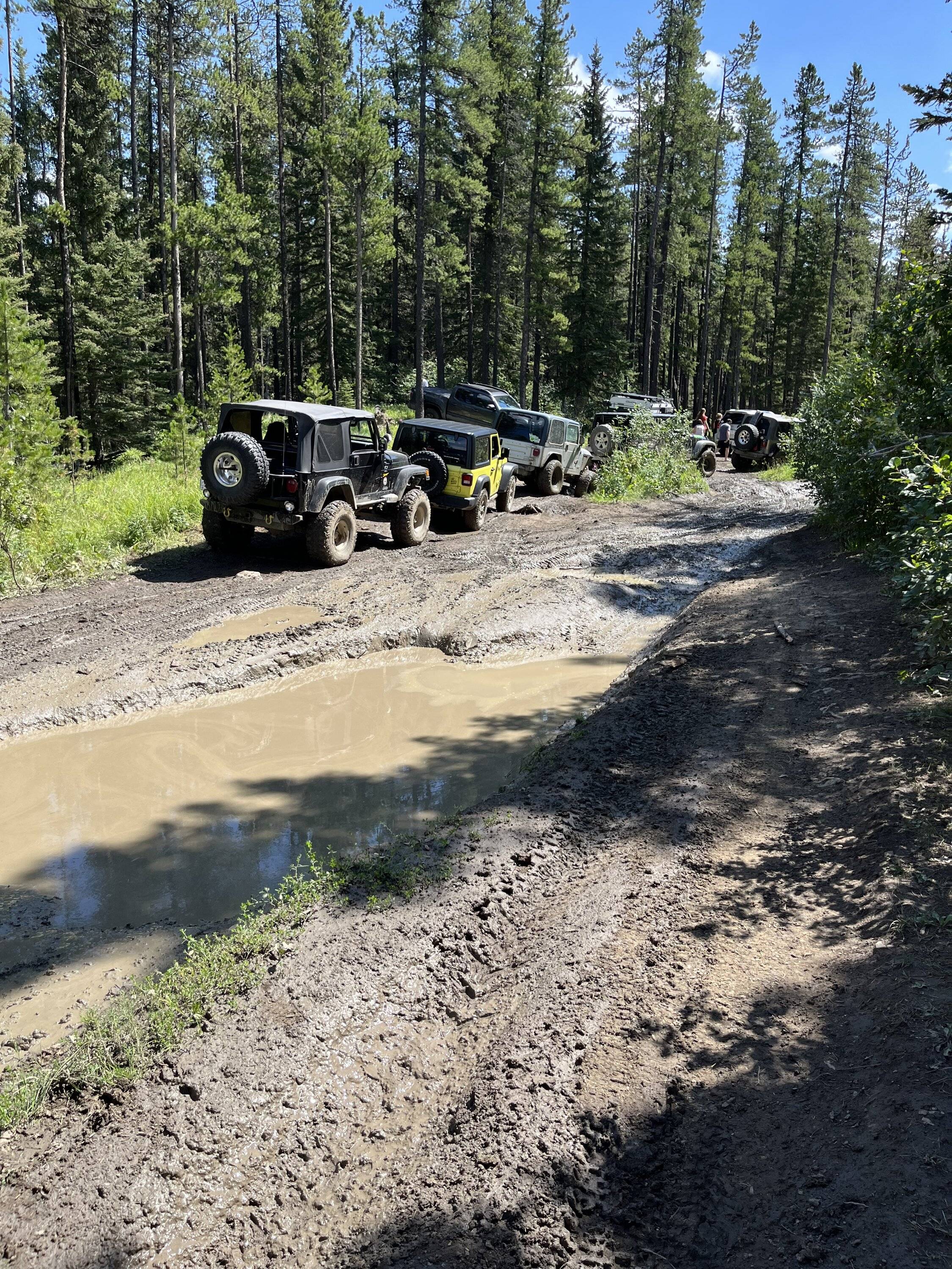 Jeep Gladiator Front Diff Noise IMG_1325