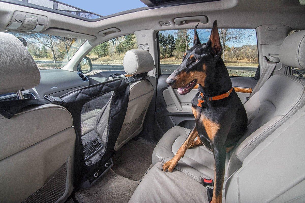 Jeep Gladiator Rear Seat Dog bed? 71VyJ-VVJIL._SL1200_