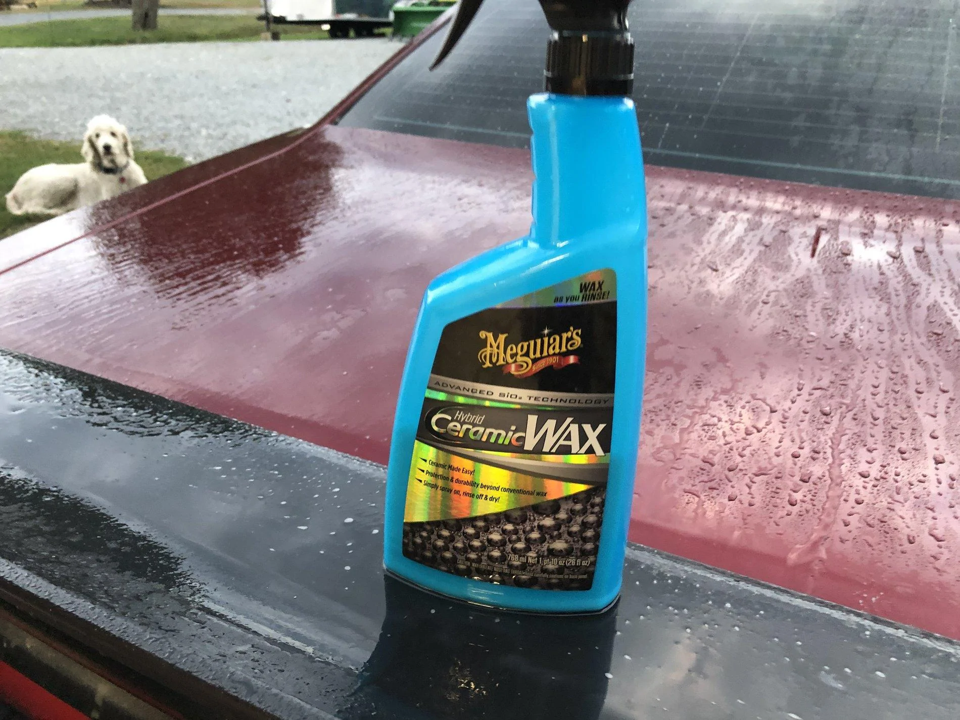 Jeep Gladiator The good old Car Wash thread lol 11DDD8FD-1072-47C0-80AB-DD620EDB06EC