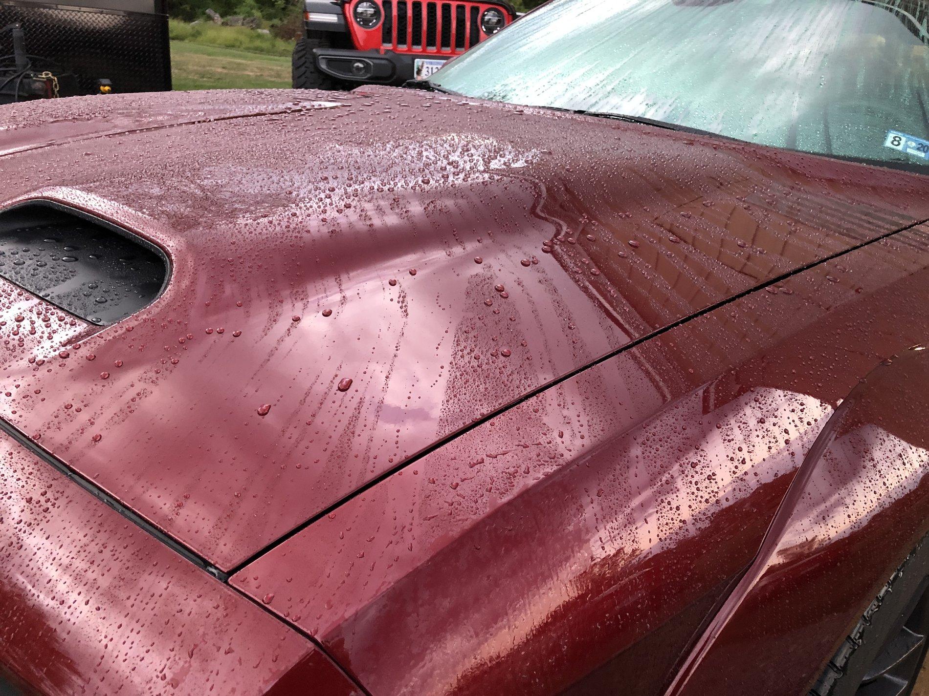 Jeep Gladiator The good old Car Wash thread lol D223F22F-9E0D-48B4-BEC9-C09506107FEB