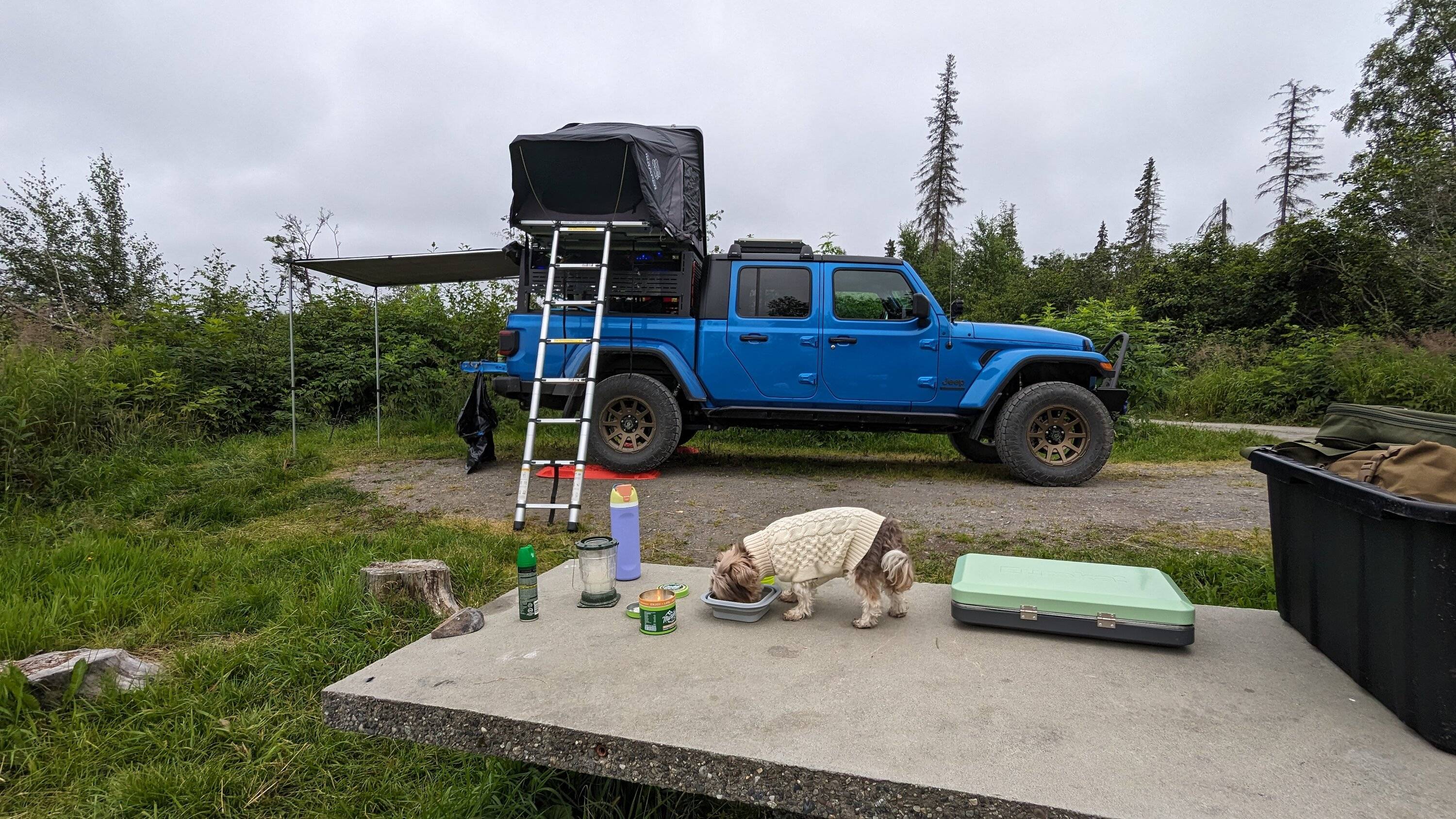 Jeep Gladiator Alaska Daily Drivers: Hydro Blue 80A and Bright White JTR PXL_20230729_050503820