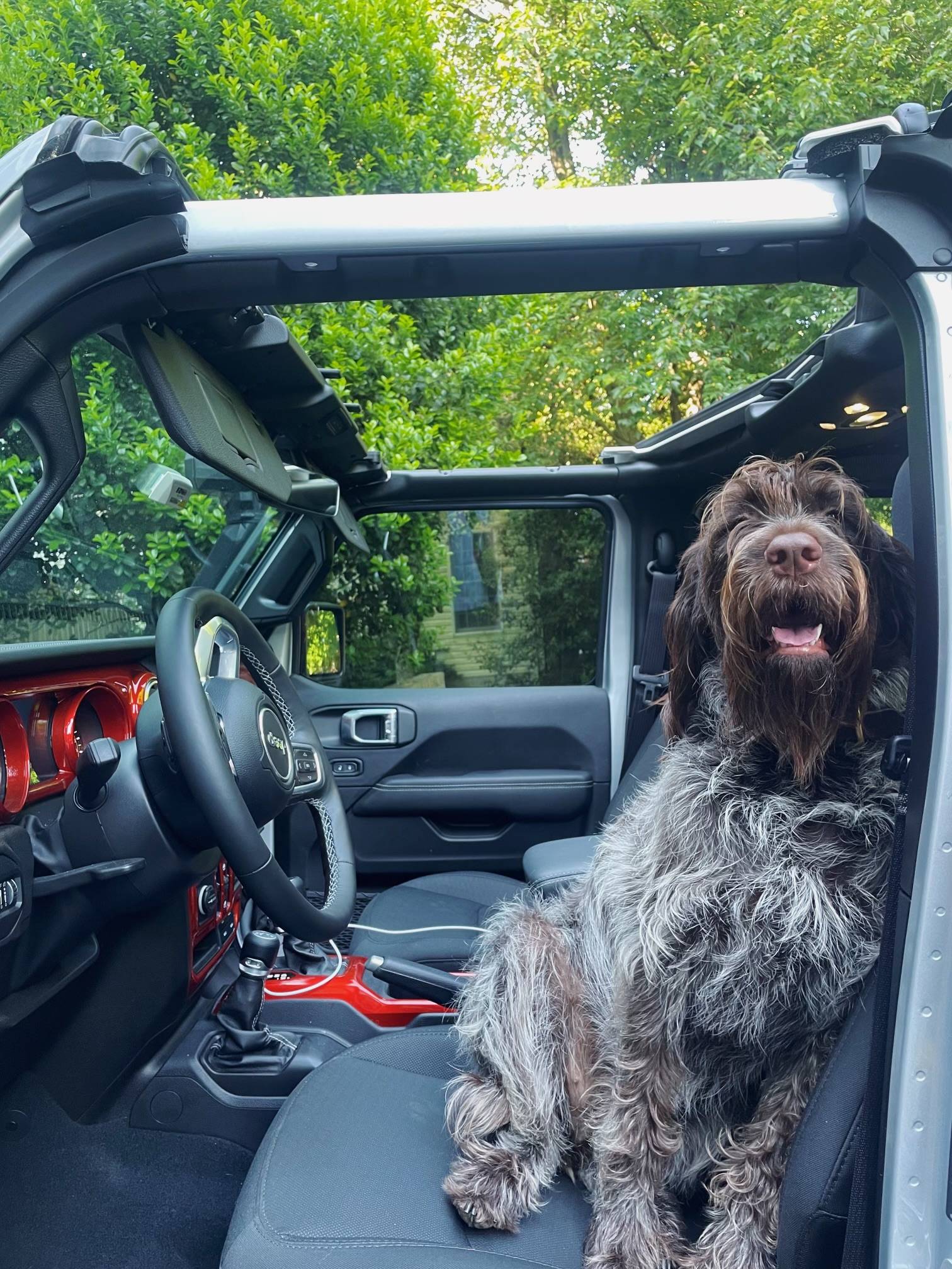 Jeep Gladiator Truck cap and getting air back there for dogs? BB550F32-CE48-48E5-9255-25D9344376C0