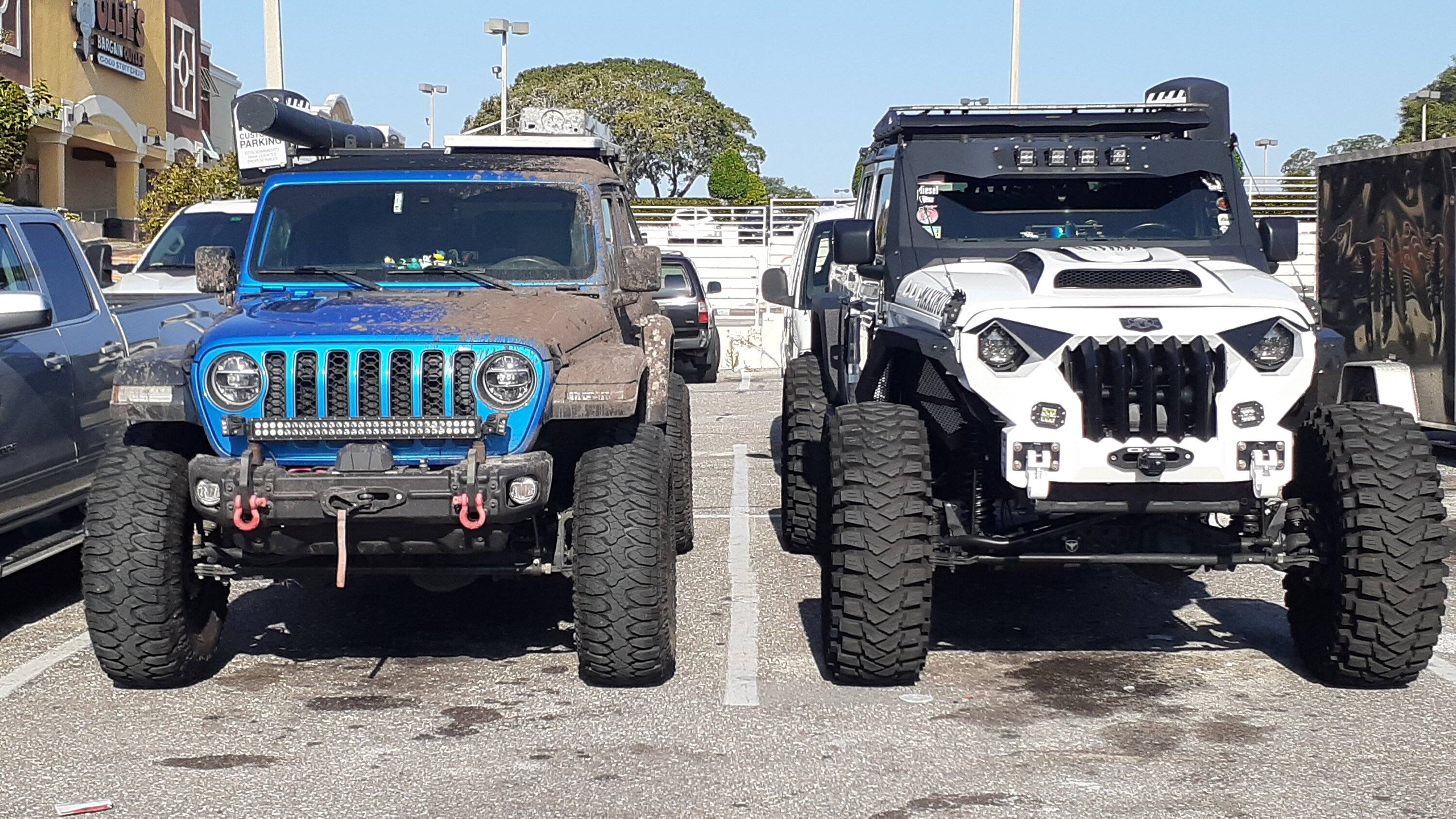 Jeep Gladiator Jeeps Parking Next To Jeeps 20230809_091447