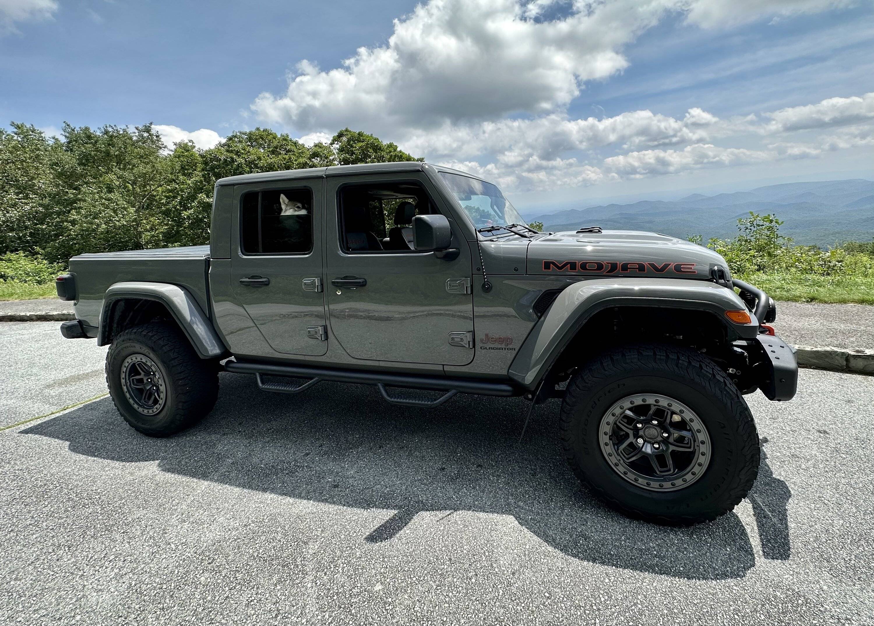 Jeep Gladiator Let’s see your pets cause they are the best companion you can have!!!!! IMG_7938