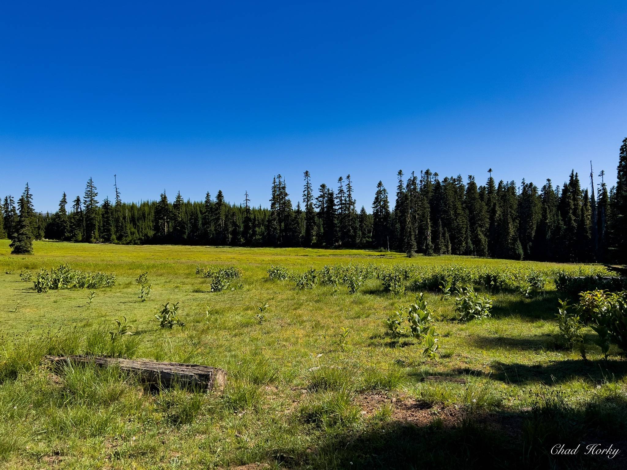 Jeep Gladiator Destination Unknown - 2022 JTR journal version=1&uuid=3452F50C-3627-41FE-A7A2-EE507059DA6A&mode=compatible&noloc=1
