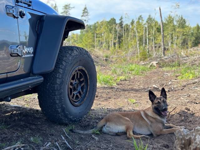 Jeep Gladiator Let’s see your pets cause they are the best companion you can have!!!!! IMG_1299