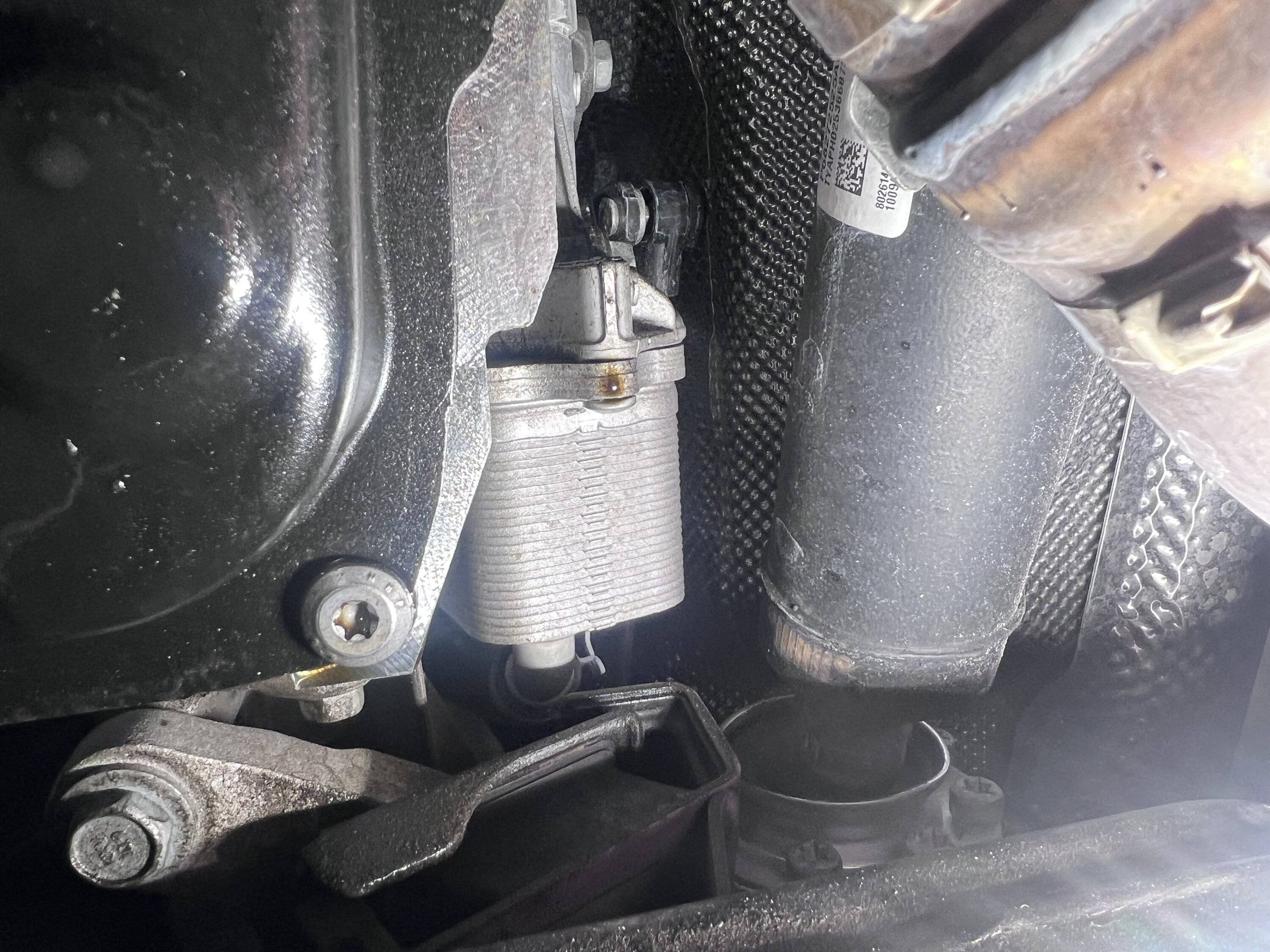Jeep Gladiator Trans Leak? IMG_8848
