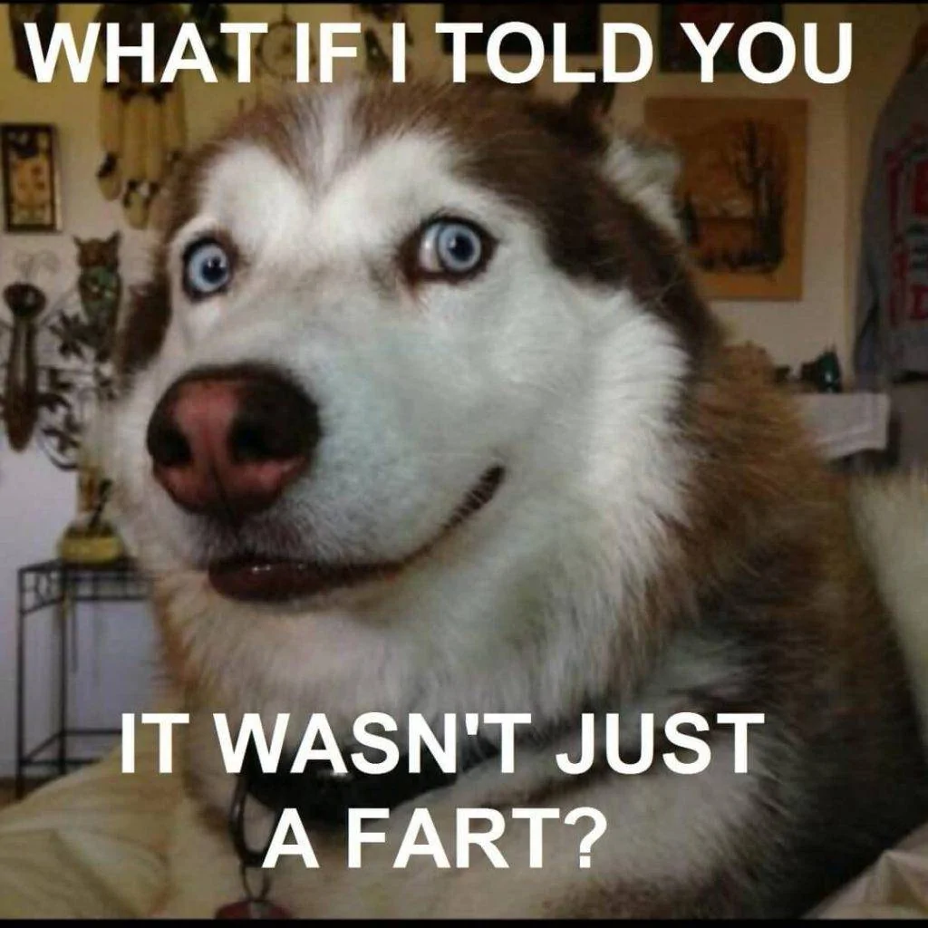 Jeep Gladiator O ou-it-wasnt-just-a-fart...-dog-fart-meme-1024x1024