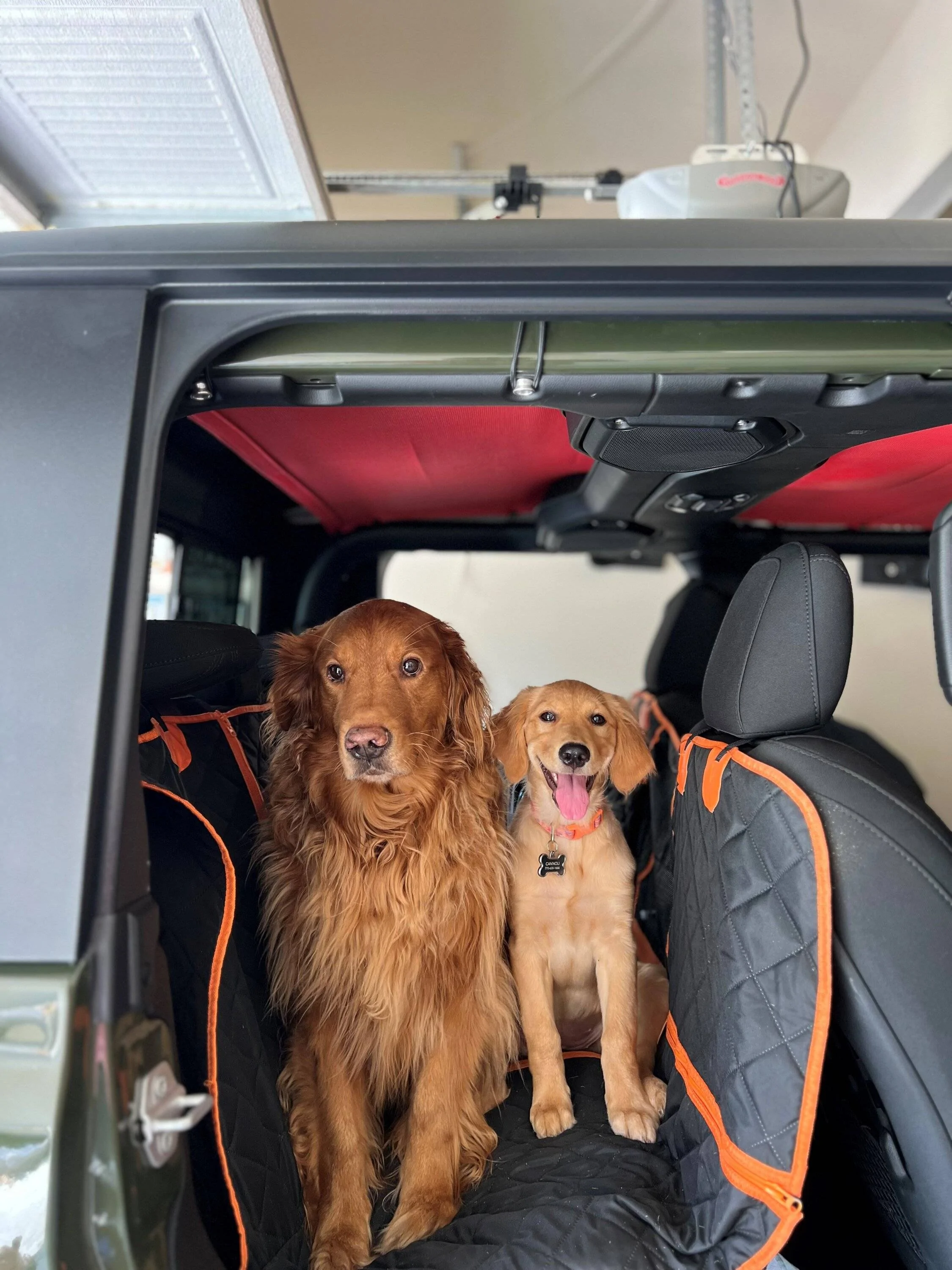 Jeep Gladiator Let’s see your pets cause they are the best companion you can have!!!!! dog j