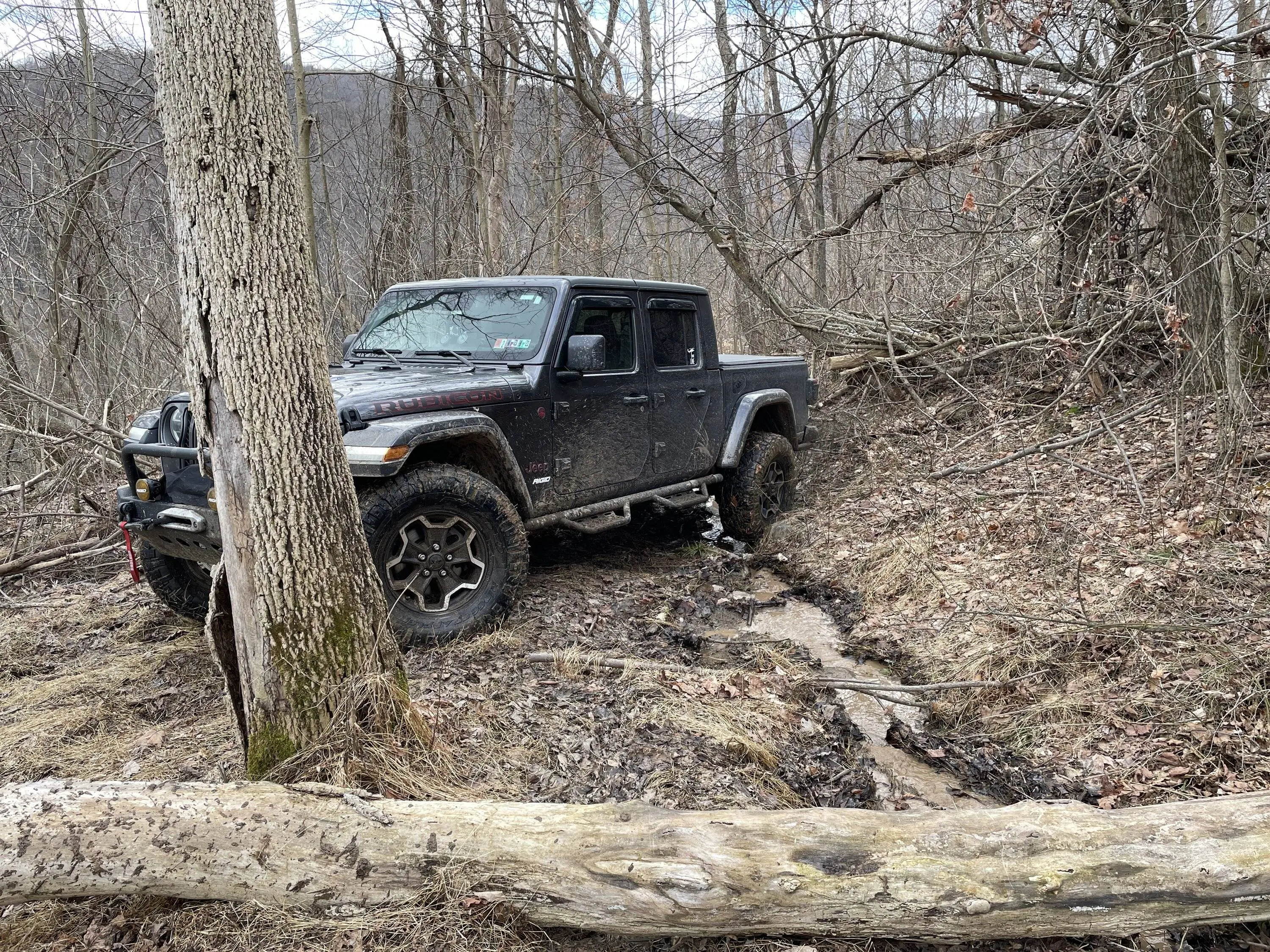 Jeep Gladiator Nitto Ridge Grapplers Where Are You! IMG_0113