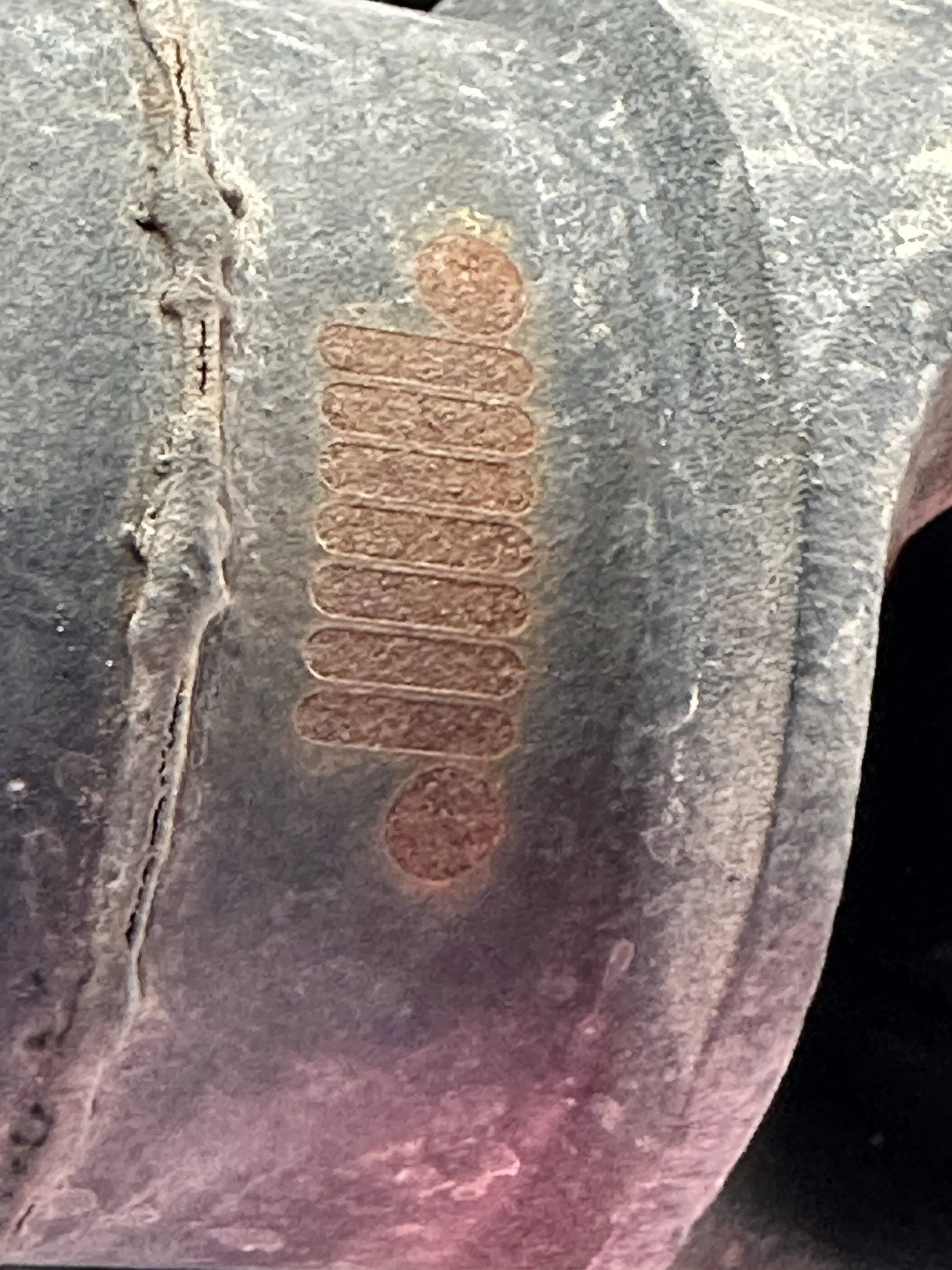 Jeep Gladiator New Easter egg? IMG_0991