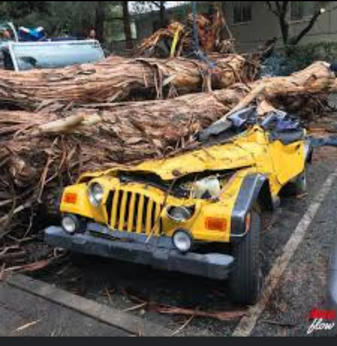 Jeep Gladiator I did a bad thing... a tree landed squarely on the hood and passenger fender Screenshot_20230905_171305_Chrom