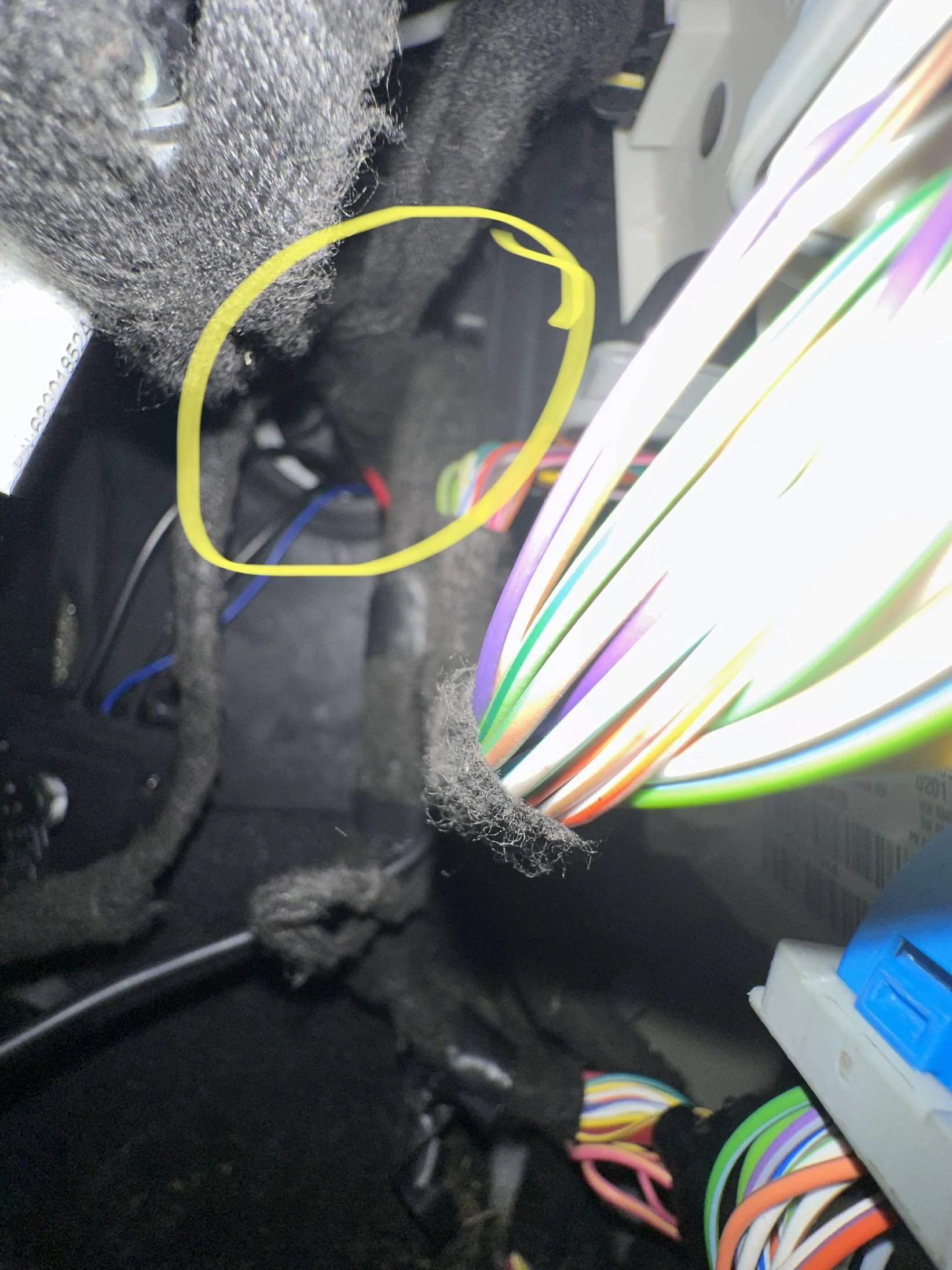 Jeep Gladiator Wiring Harness Identification IMG_0248