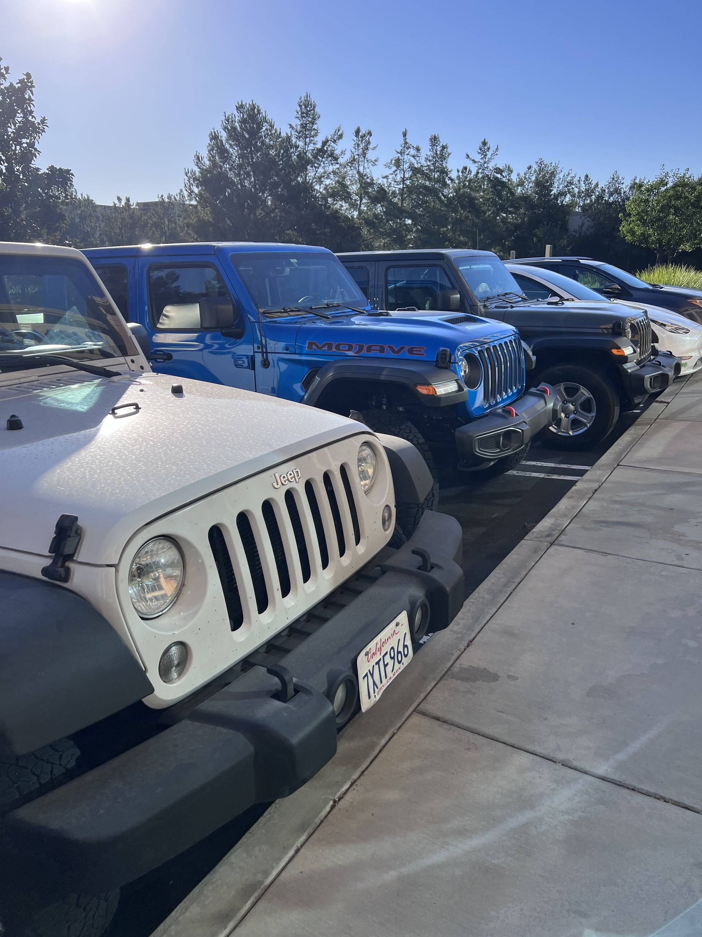 Jeep Gladiator Jeeps Parking Next To Jeeps IMG_1008