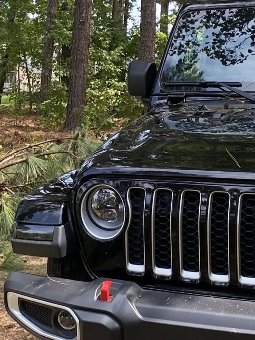 Jeep Gladiator I did a bad thing... a tree landed squarely on the hood and passenger fender Jeep 1b