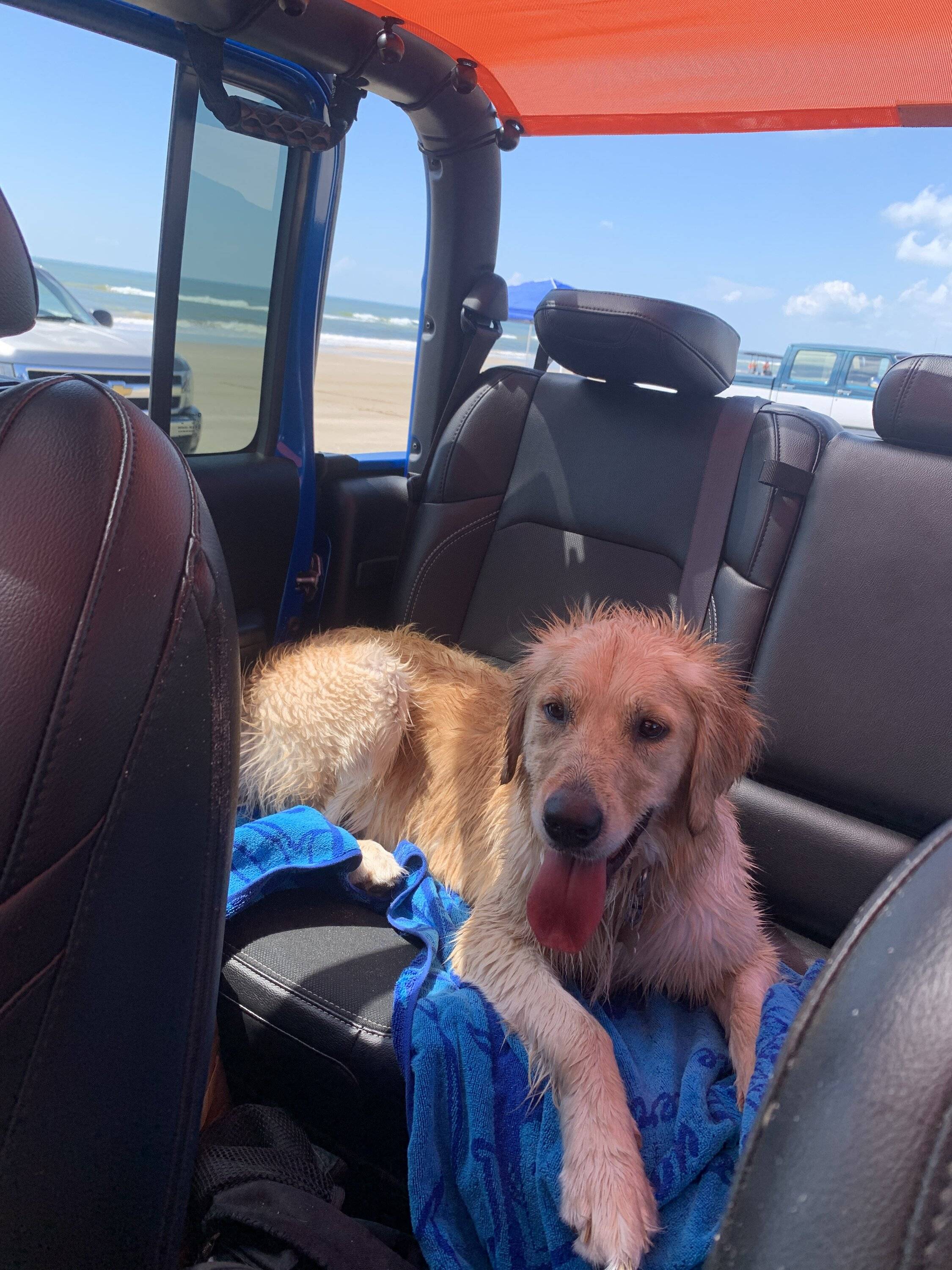 Jeep Gladiator Recommendations on a backseat dog hammock IMG_3230