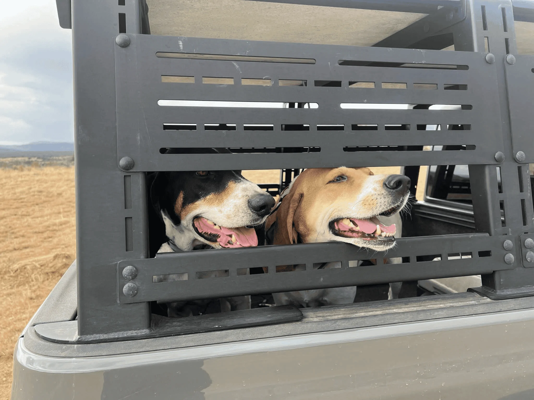 Jeep Gladiator Recommendations on a backseat dog hammock 1695314001263