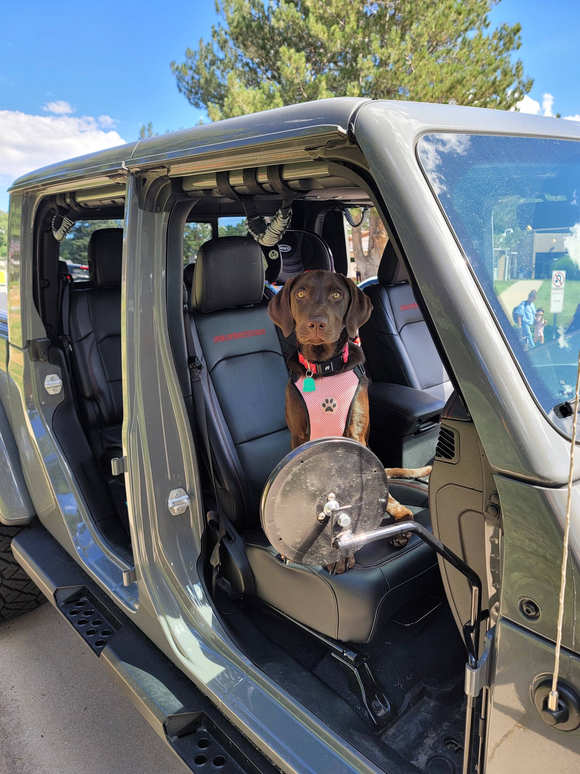 Jeep Gladiator Jeeps n Dogs (on the trail advice wanted) 20230901_144722