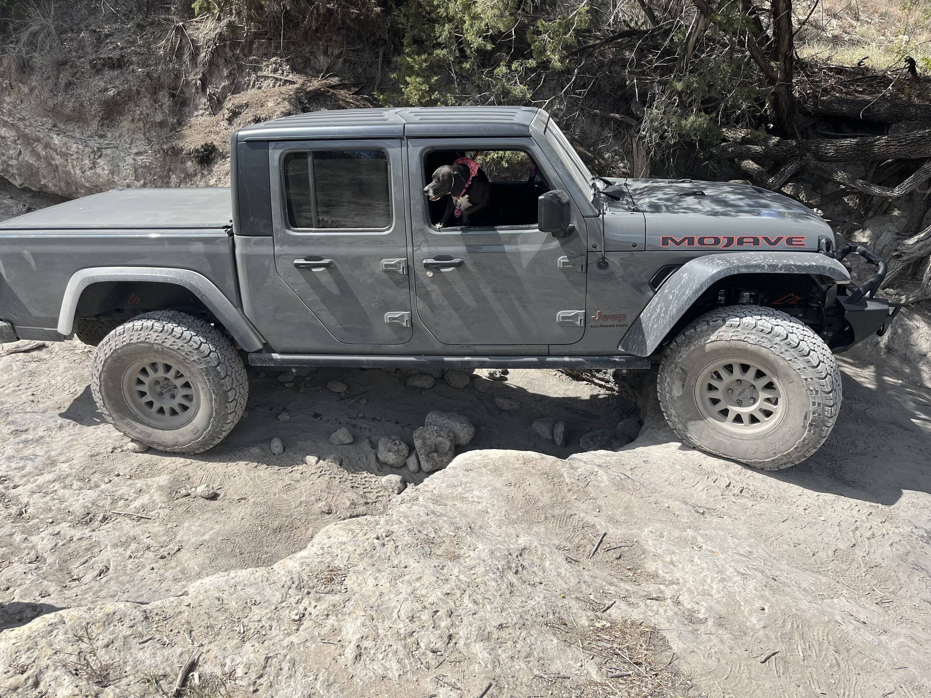 Jeep Gladiator NoDoorsNoProblem's "All Jeep, All Truck" Build IMG-6569
