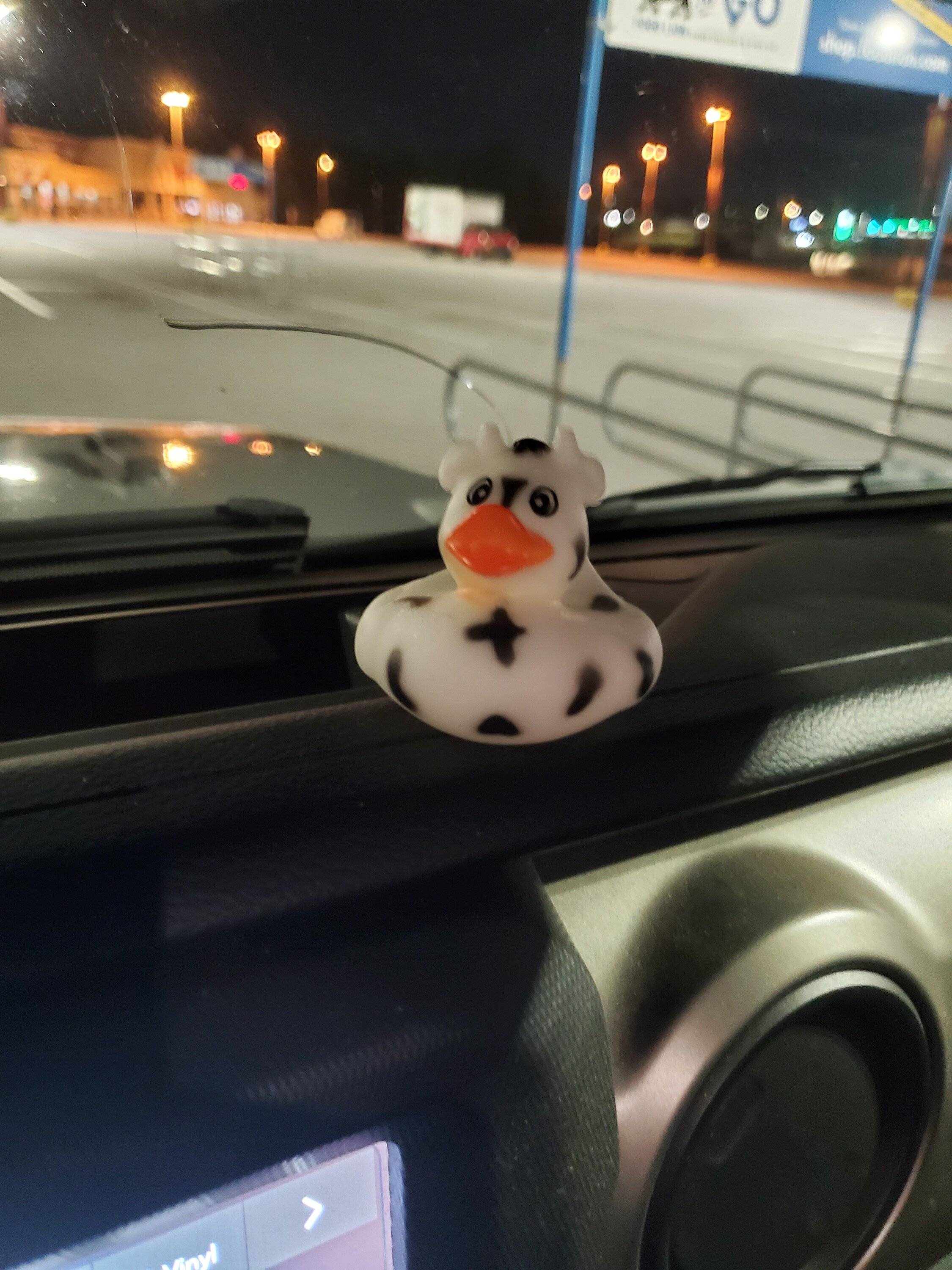 Jeep Gladiator Get a duck yet? 20230928_231211