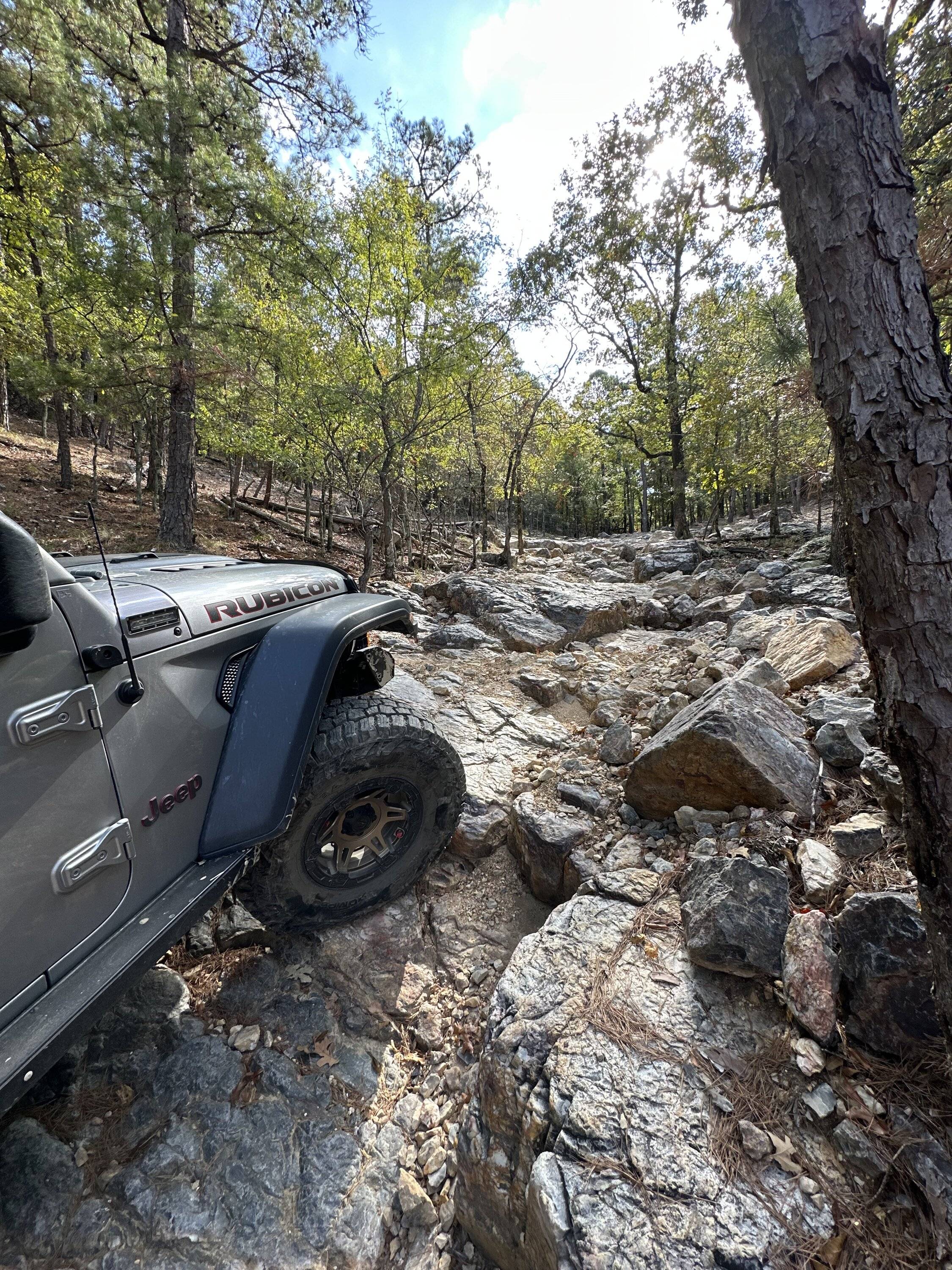Jeep Gladiator What did you do WITH your Gladiator today? 71795458883__D250C840-6635-4ABD-BE7A-990C7160EFE2