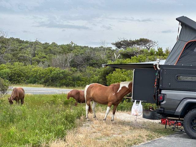 Jeep Gladiator Alu-Cab Canopy Camper Roll Call assateague