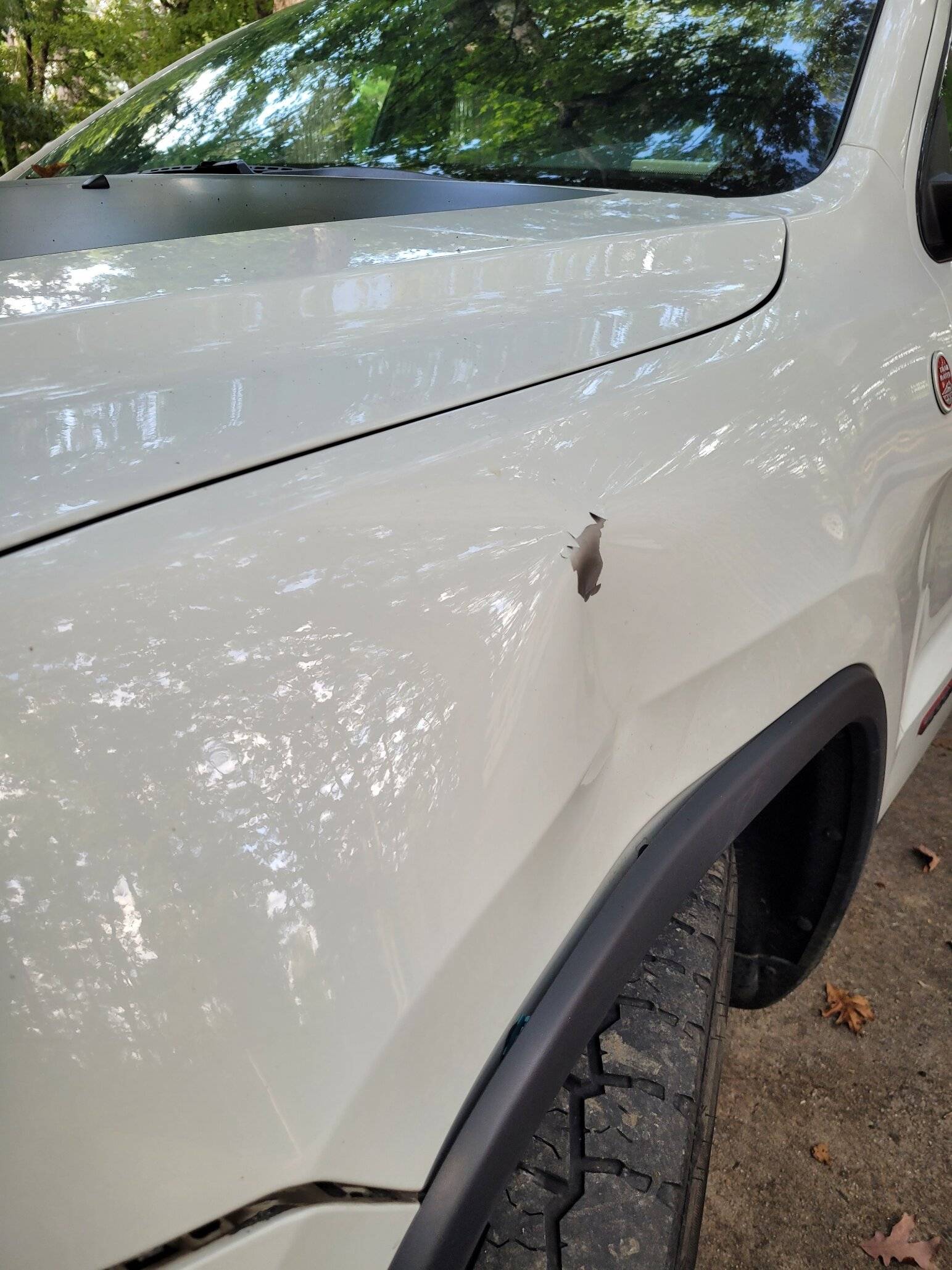 Jeep Gladiator Deer played tag with me today... WK2 Fender
