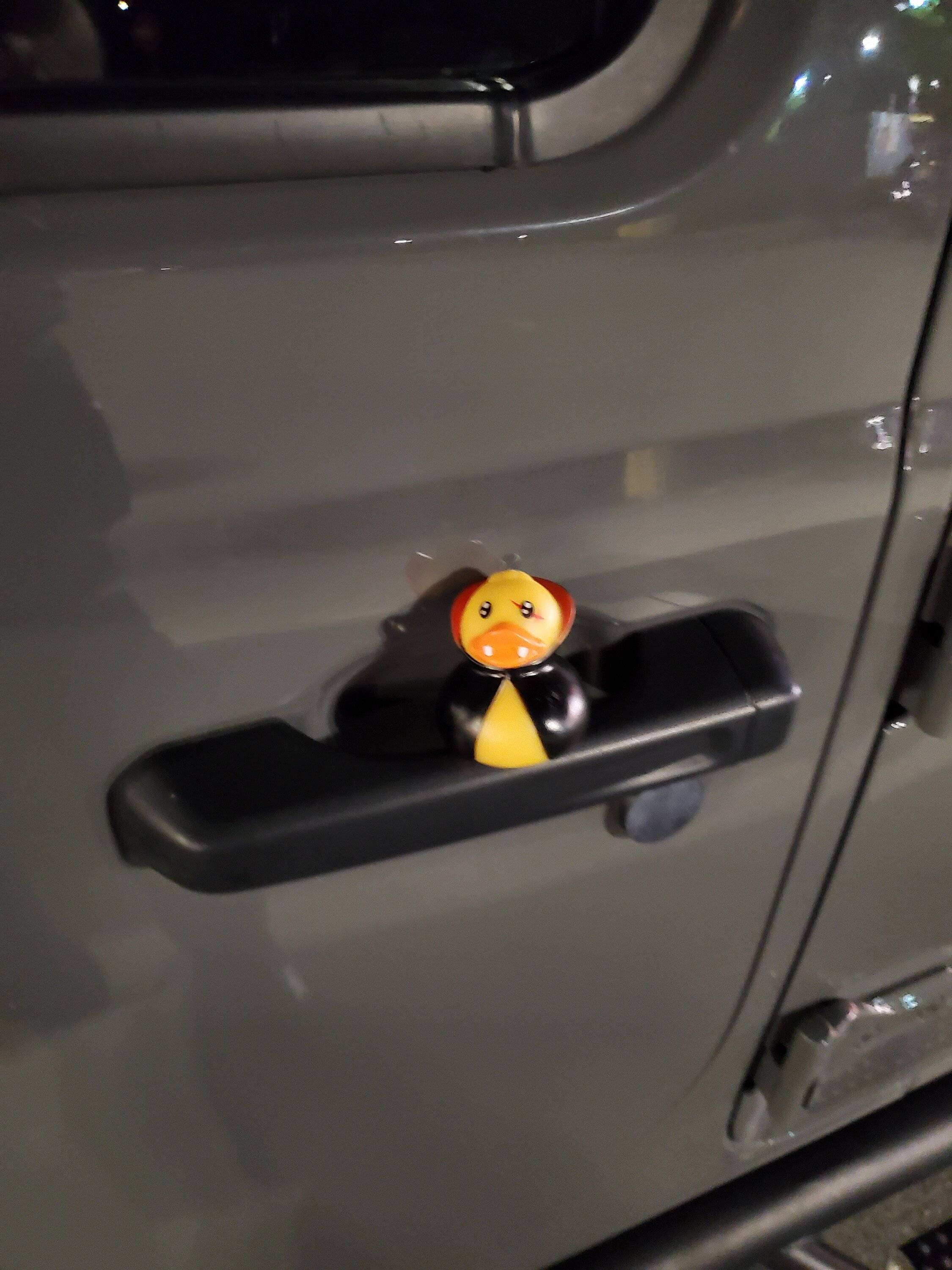 Jeep Gladiator I Finally Got Ducked 20231021_221825