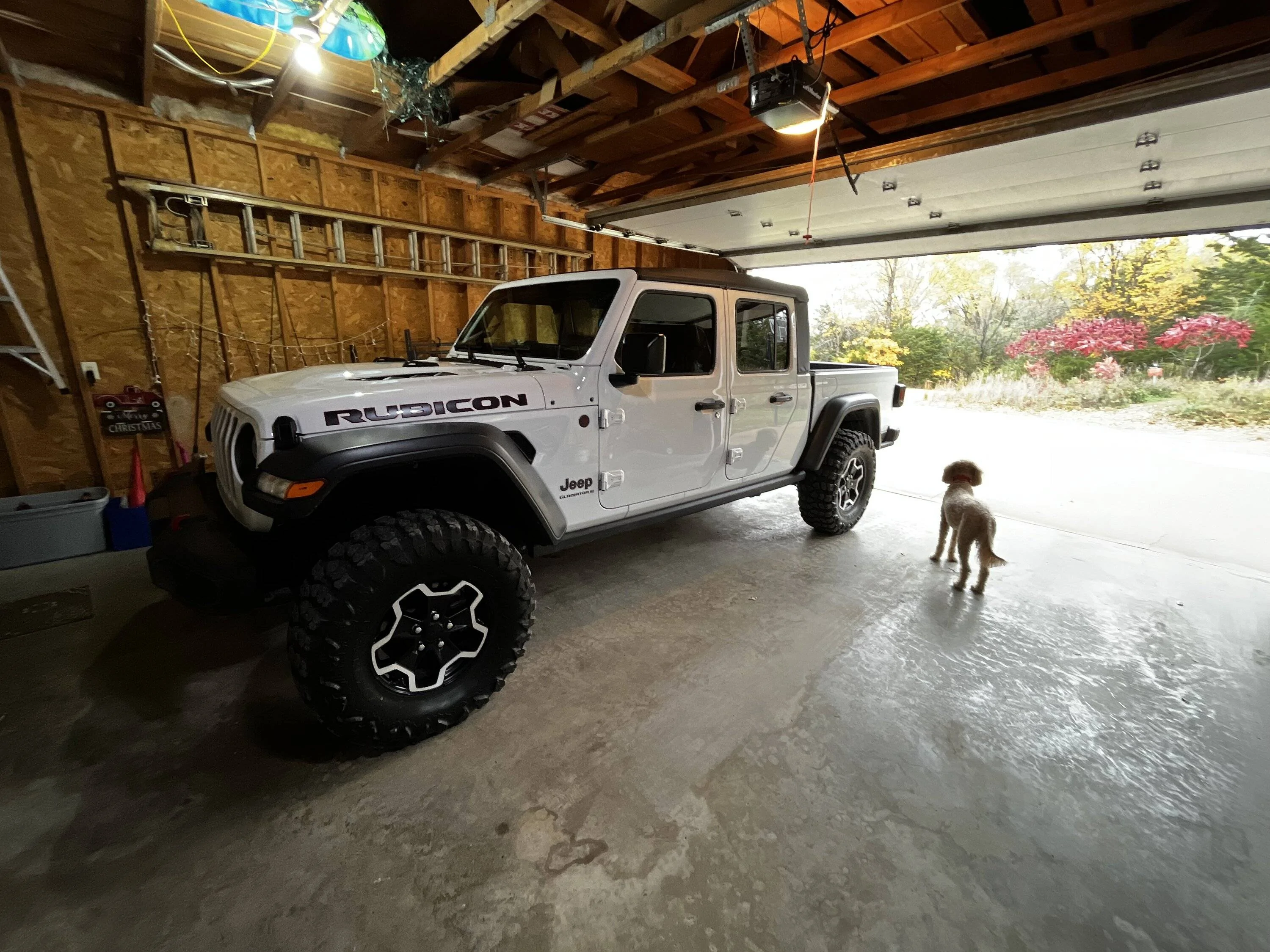 Jeep Gladiator New member 71986452127__96D8D705-BBFA-4025-93FD-2FFB23F12F34