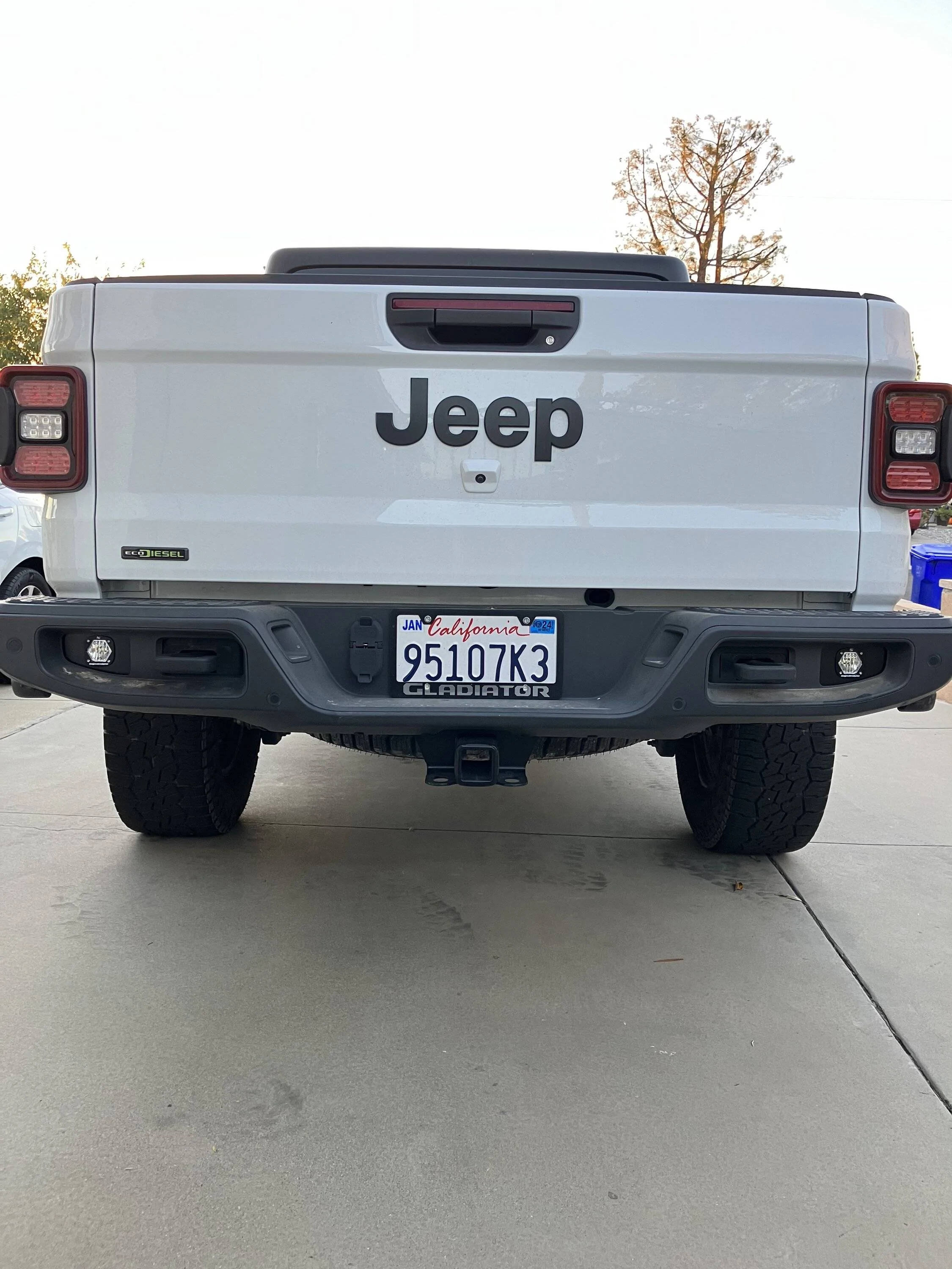 Jeep Gladiator Installed Baja Designs Dual Reverse Lights IMG_0679
