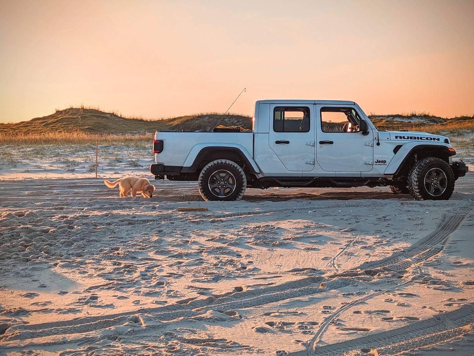 Jeep Gladiator Gladiator Glamour Shots PXL_20231028_211522560-EDIT